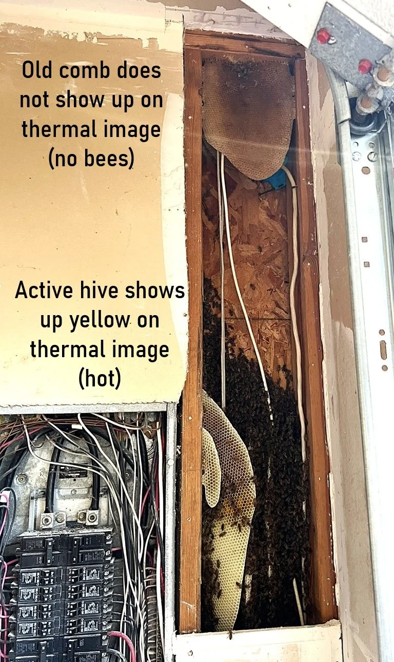 Flir hive exposed Text.jpg