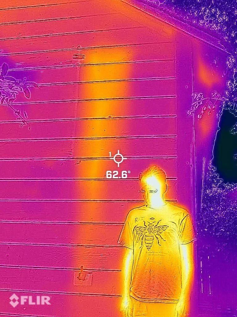 HesselFlirJoey (Medium).JPEG