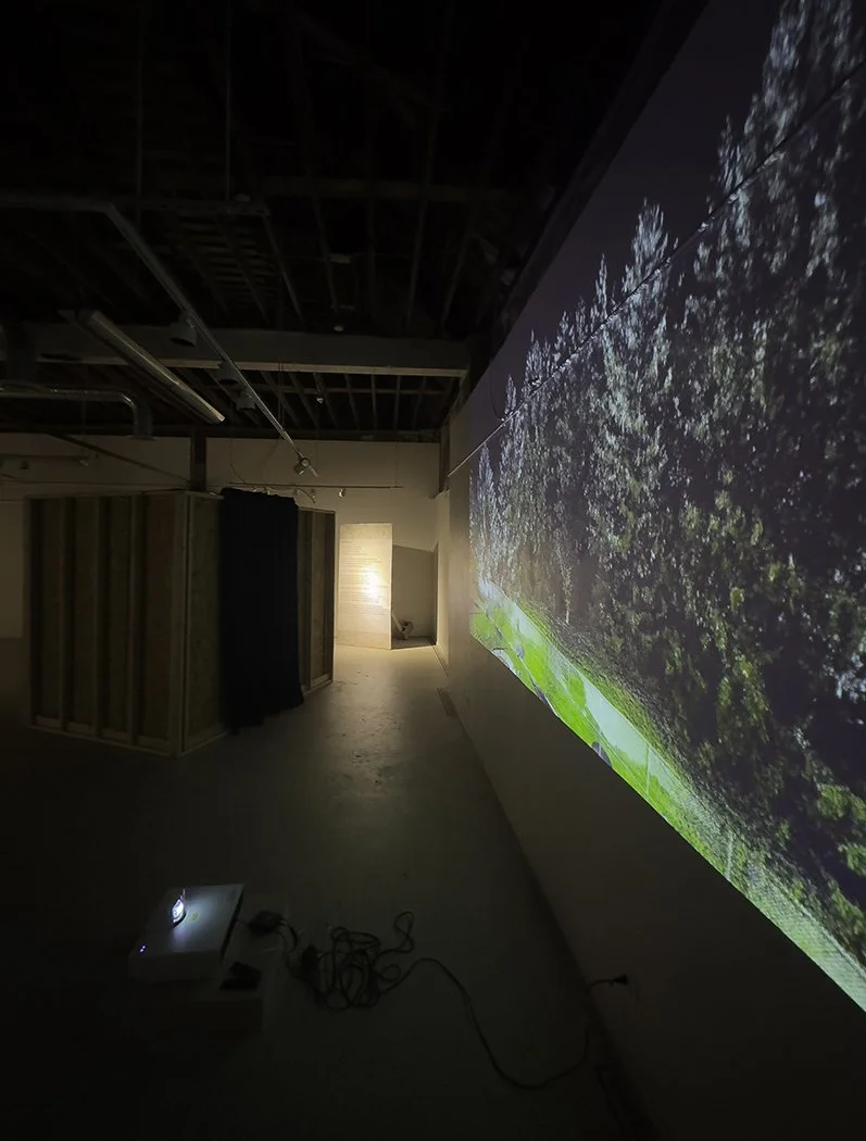 the third iteration, installed as a wall projected video