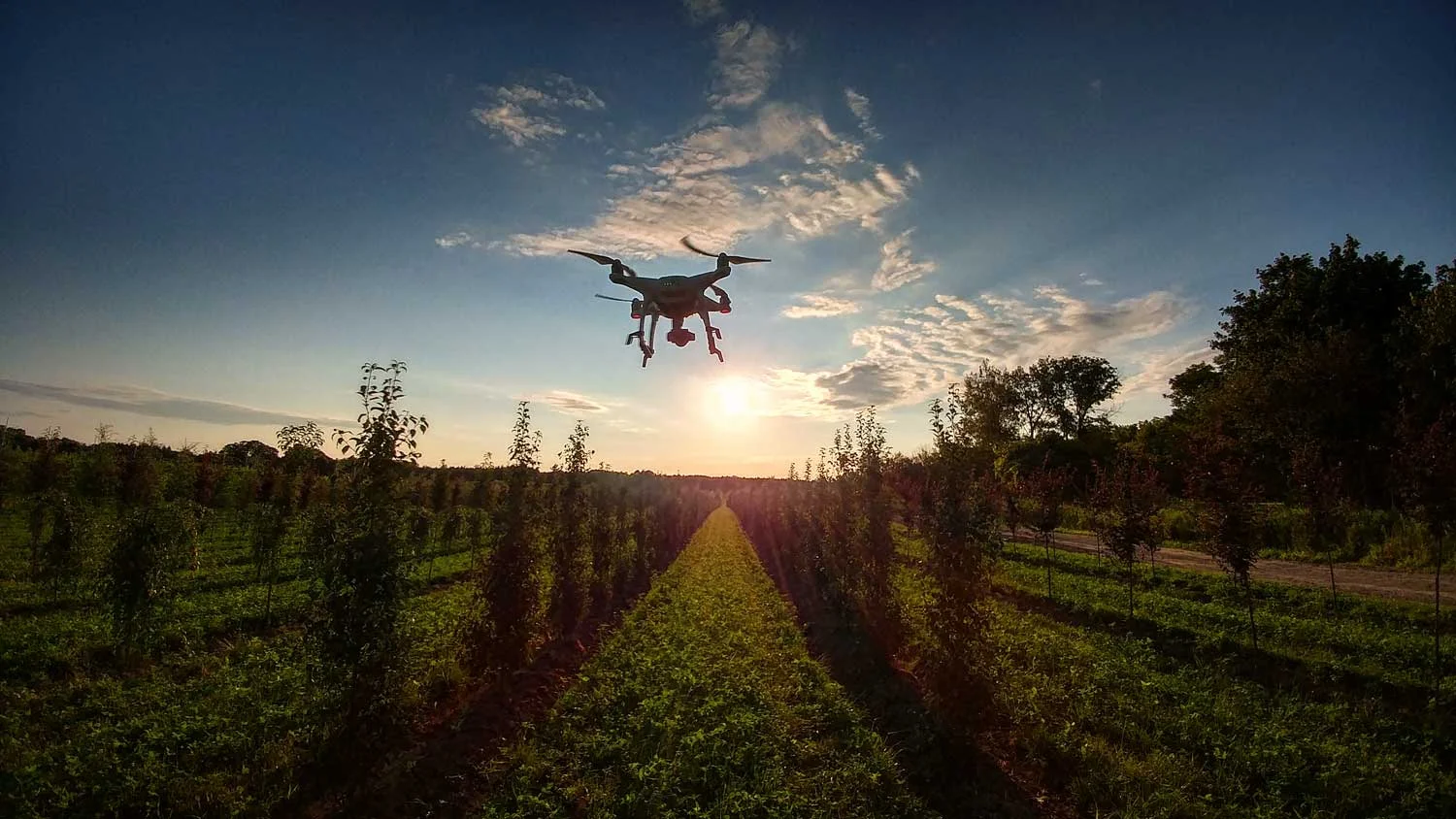Kobes Nursery drone video