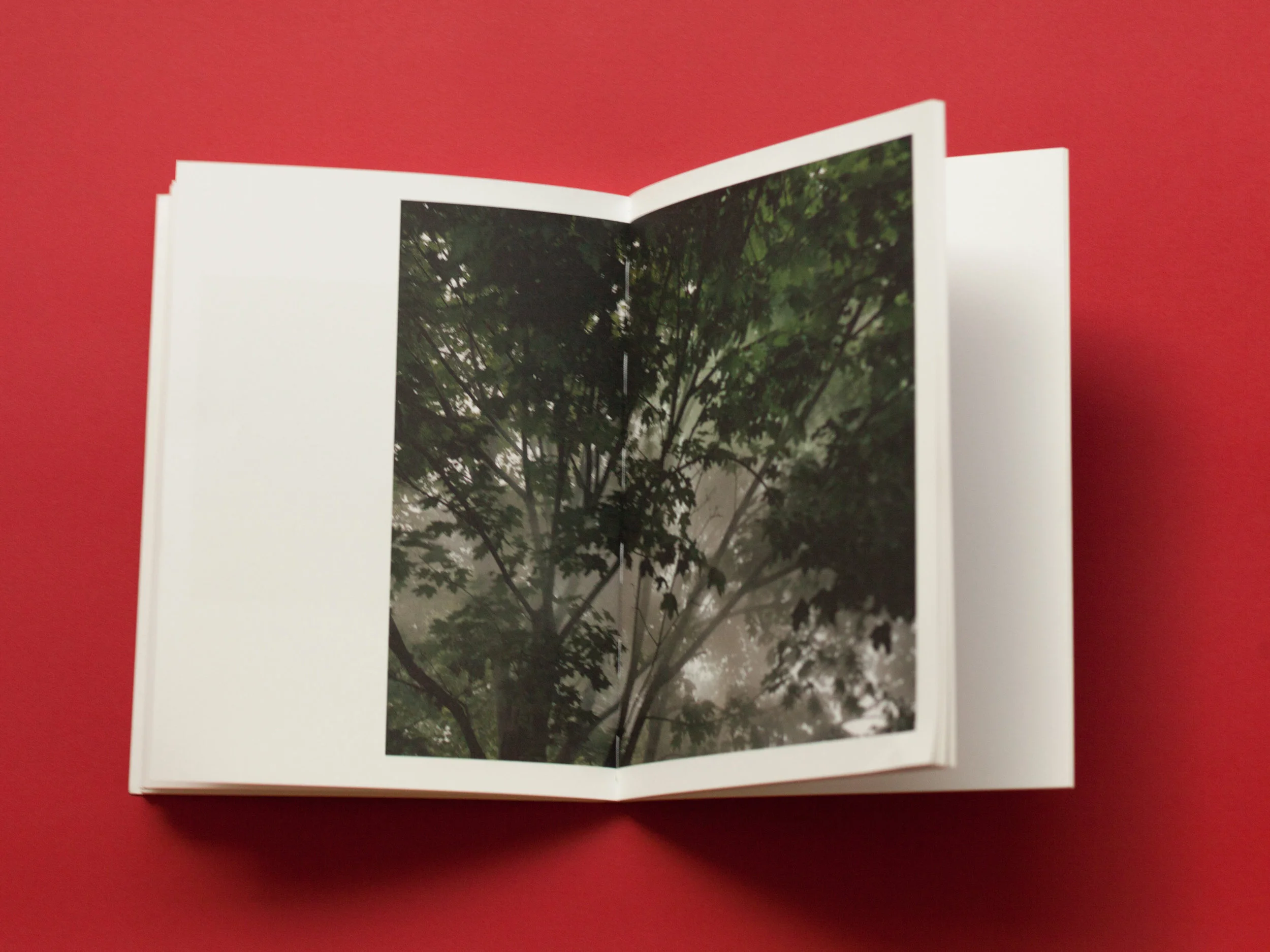 Bladr Kunstnerbøger Copenhagen Artist Books