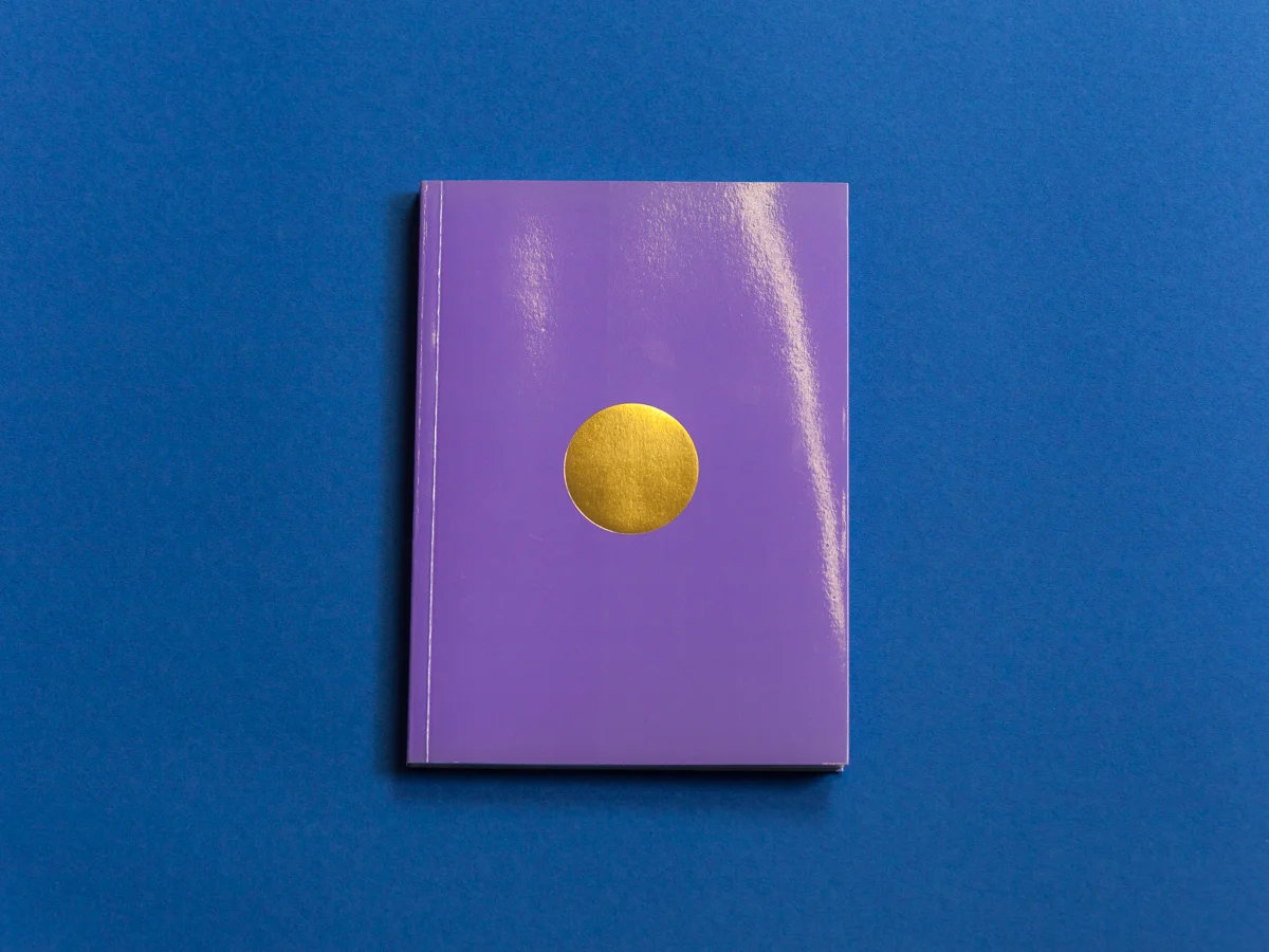 They Didn't Want to Pierce the Sun by Fryd Frydendahl and Jacob Birch