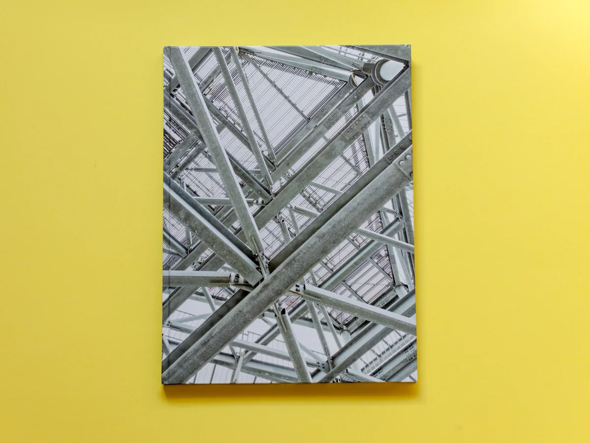 Throughout the Universe in Perpetuity by Daniel Everett