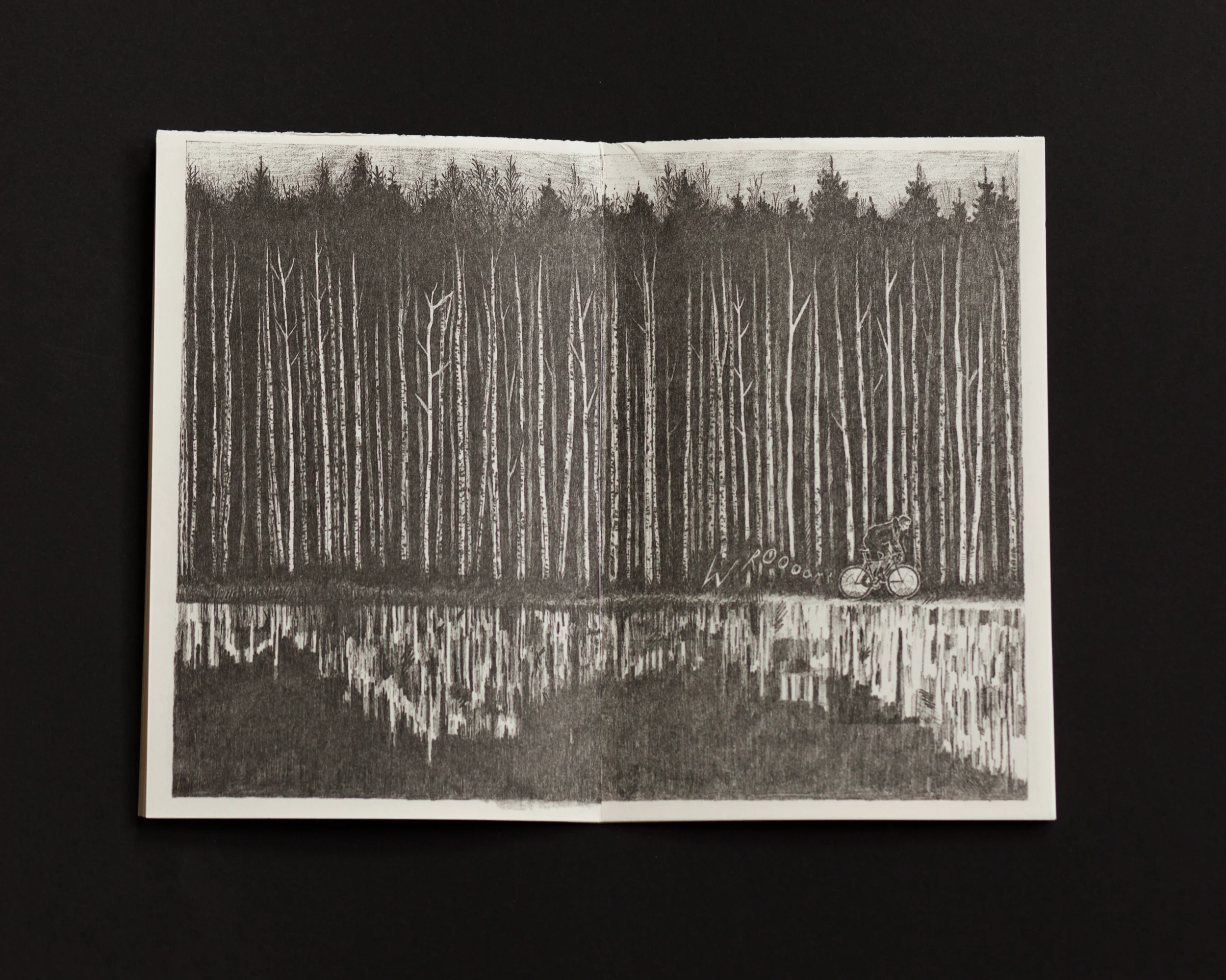 storm cast ello_2.JPG