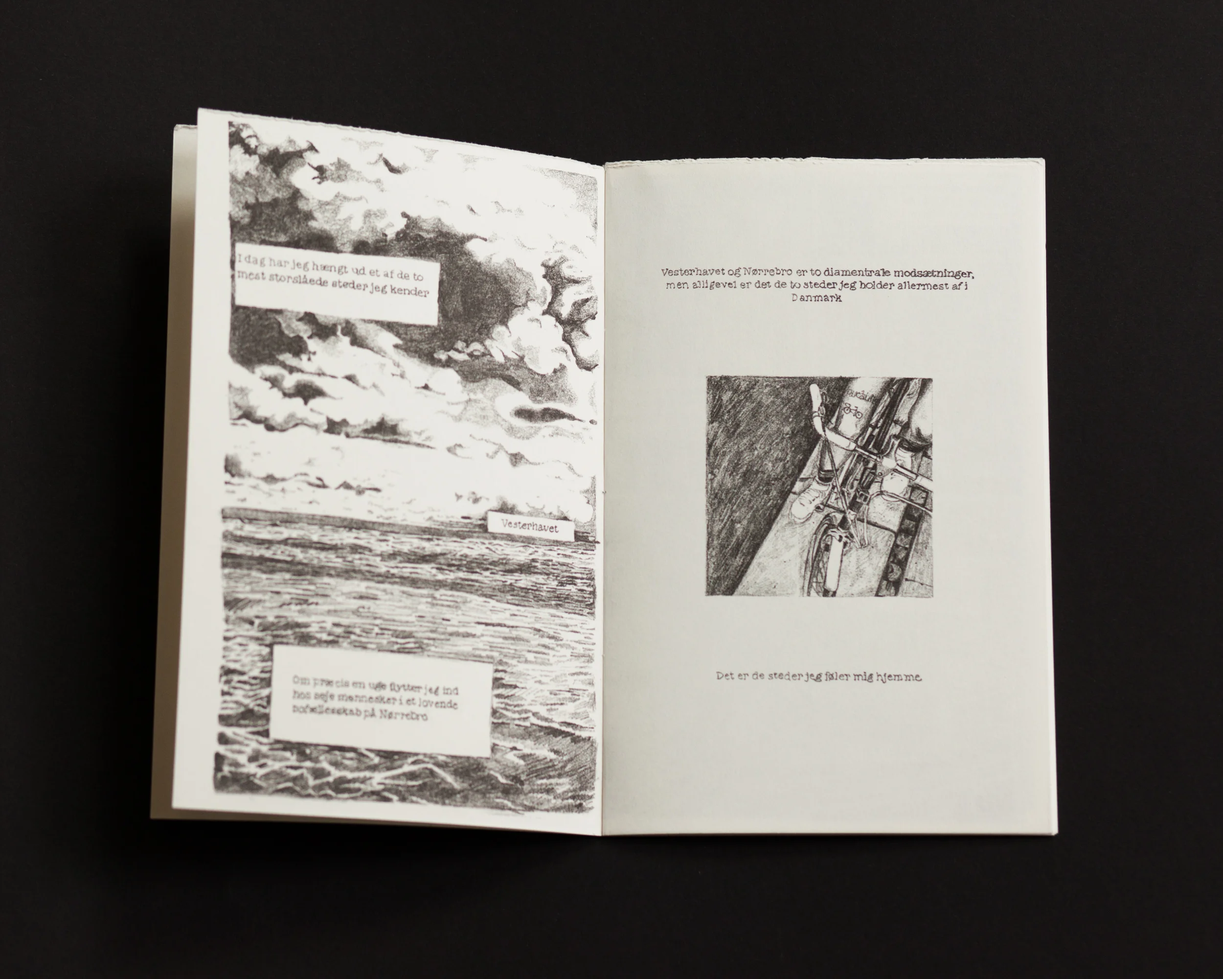 storm cast ello_1.JPG