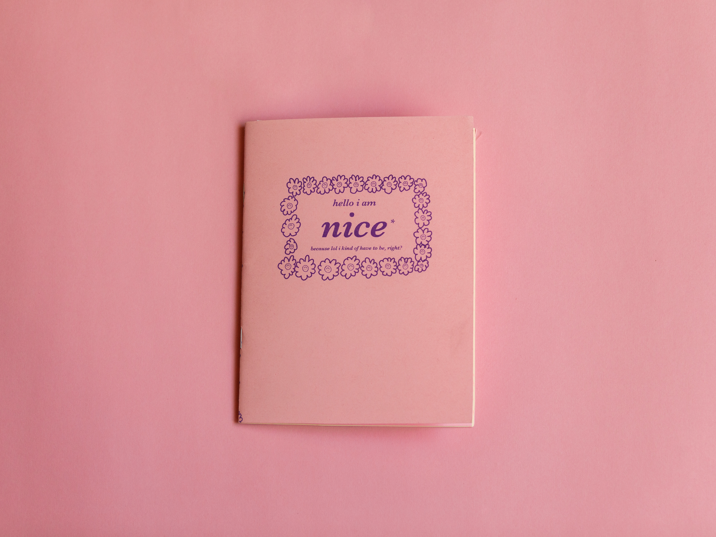 Hello I Am Nice by Taylor Yocom
