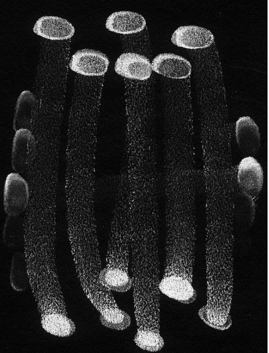 DU JAG SOMEONE SOMETHING by Kristina Bengtsson