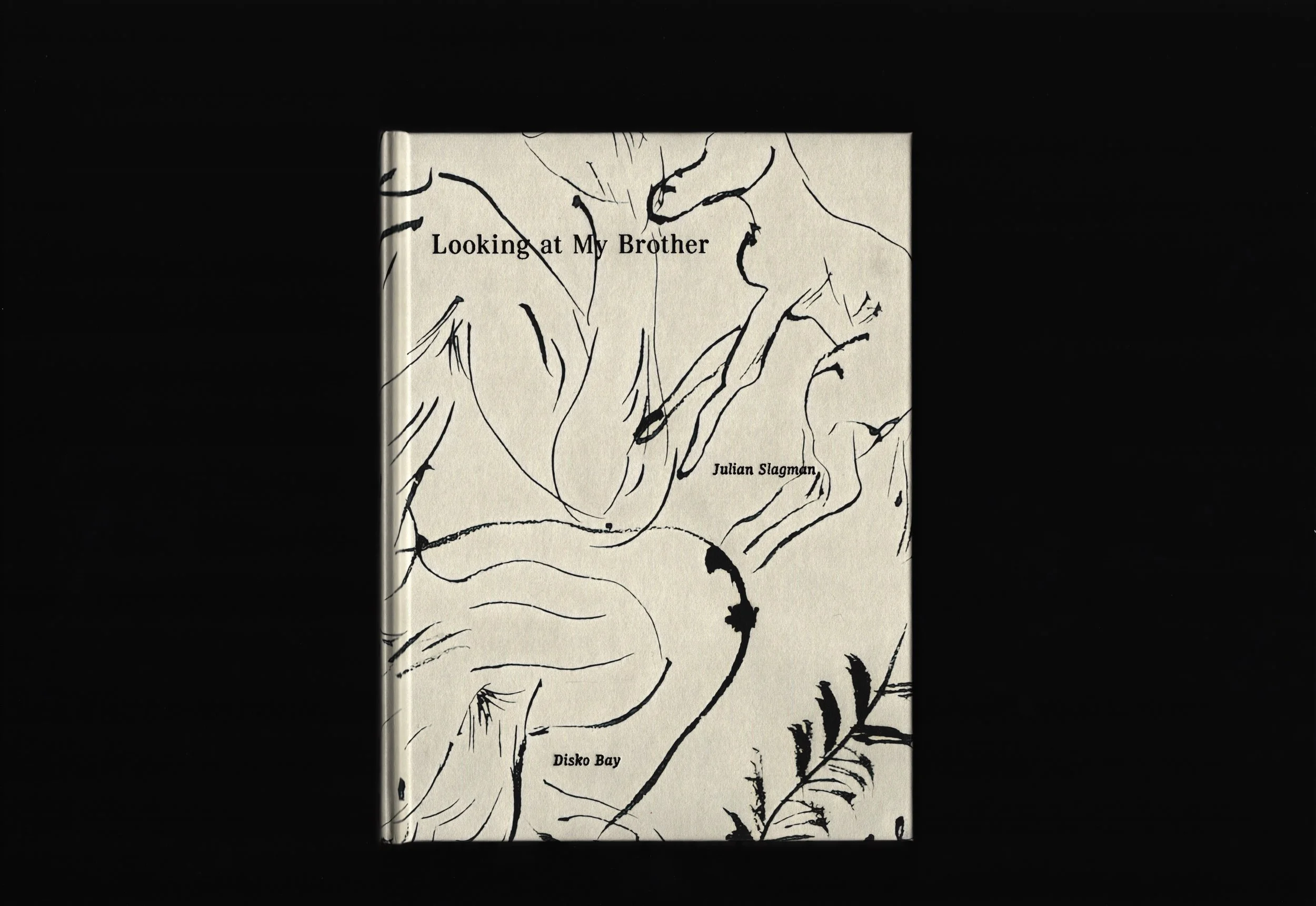 Looking at My Brother by Julian Slagman