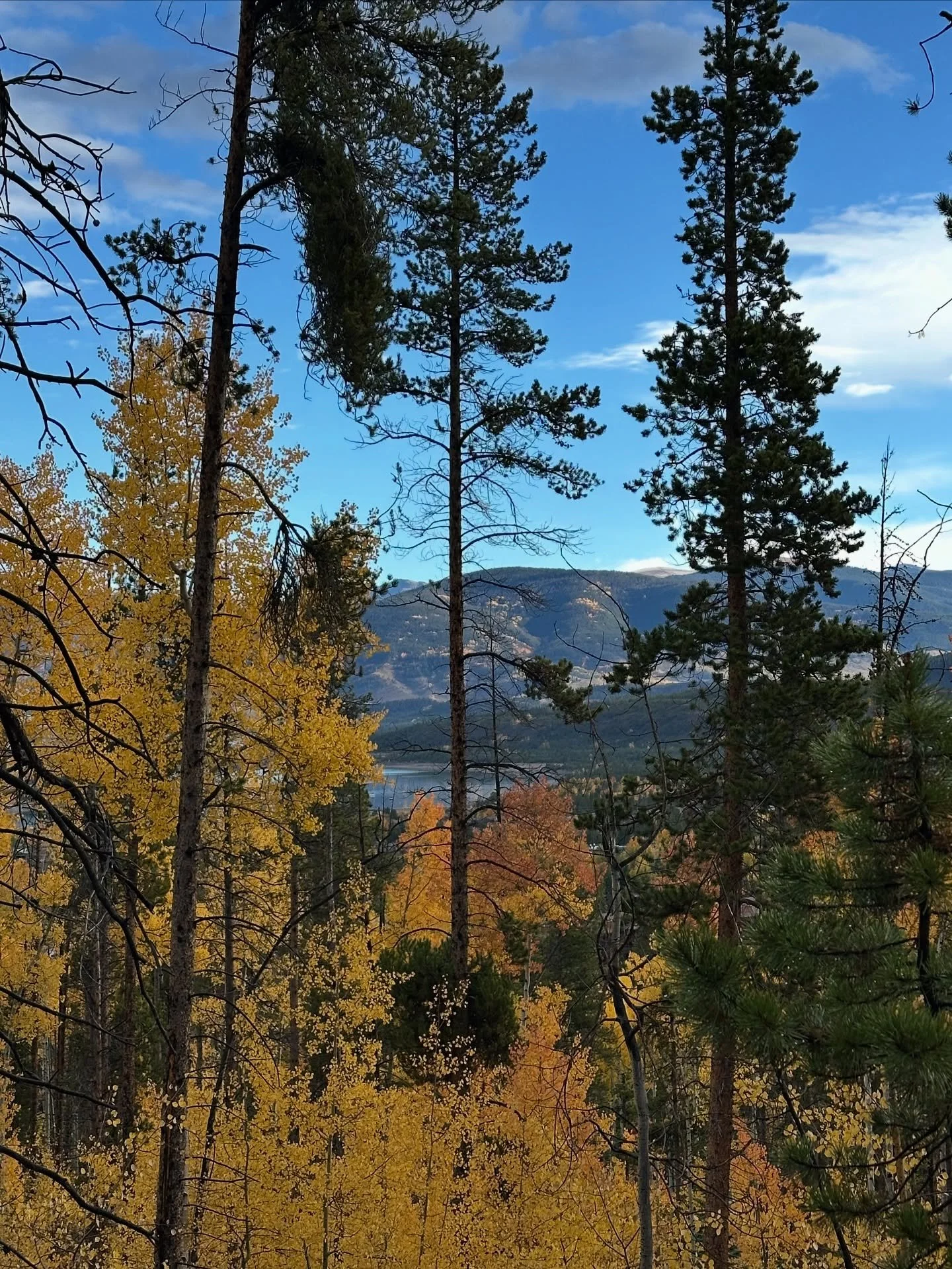 Breckenridge ➡️ Frisco ➡️ happy heart. ✨
A little time in the mountains always clears my head &mdash; good food, walks, and just slowing down a bit. 🌲🍂🍁