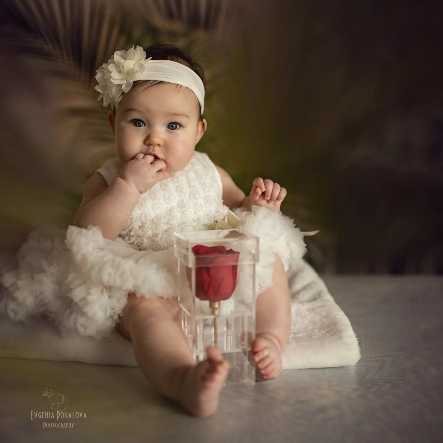 DSC_7919 inet.jpg