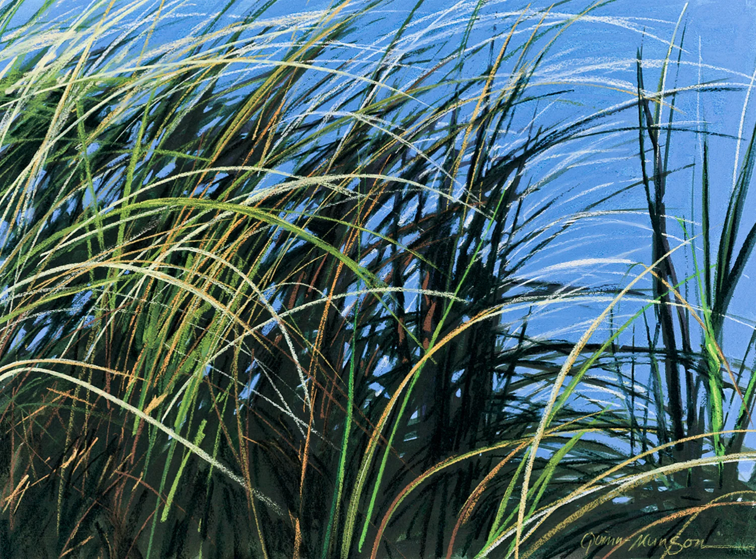 Sea Breeze