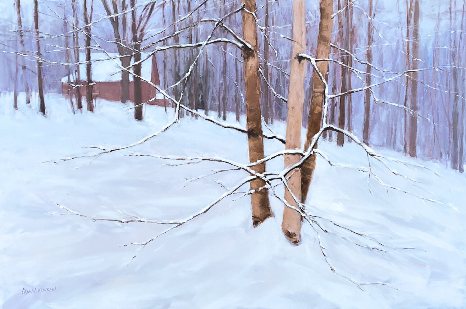 Winter Birch    20x30