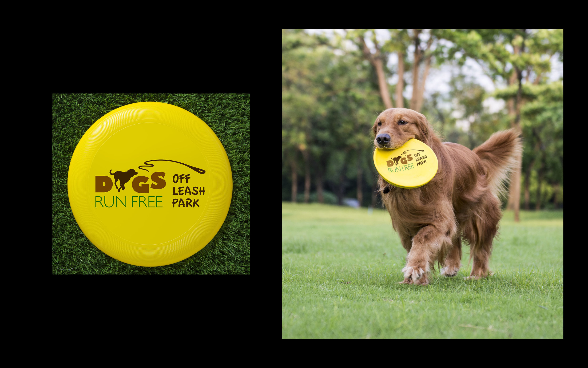 Dogs Run Free Off-Leash Park Dog Toys