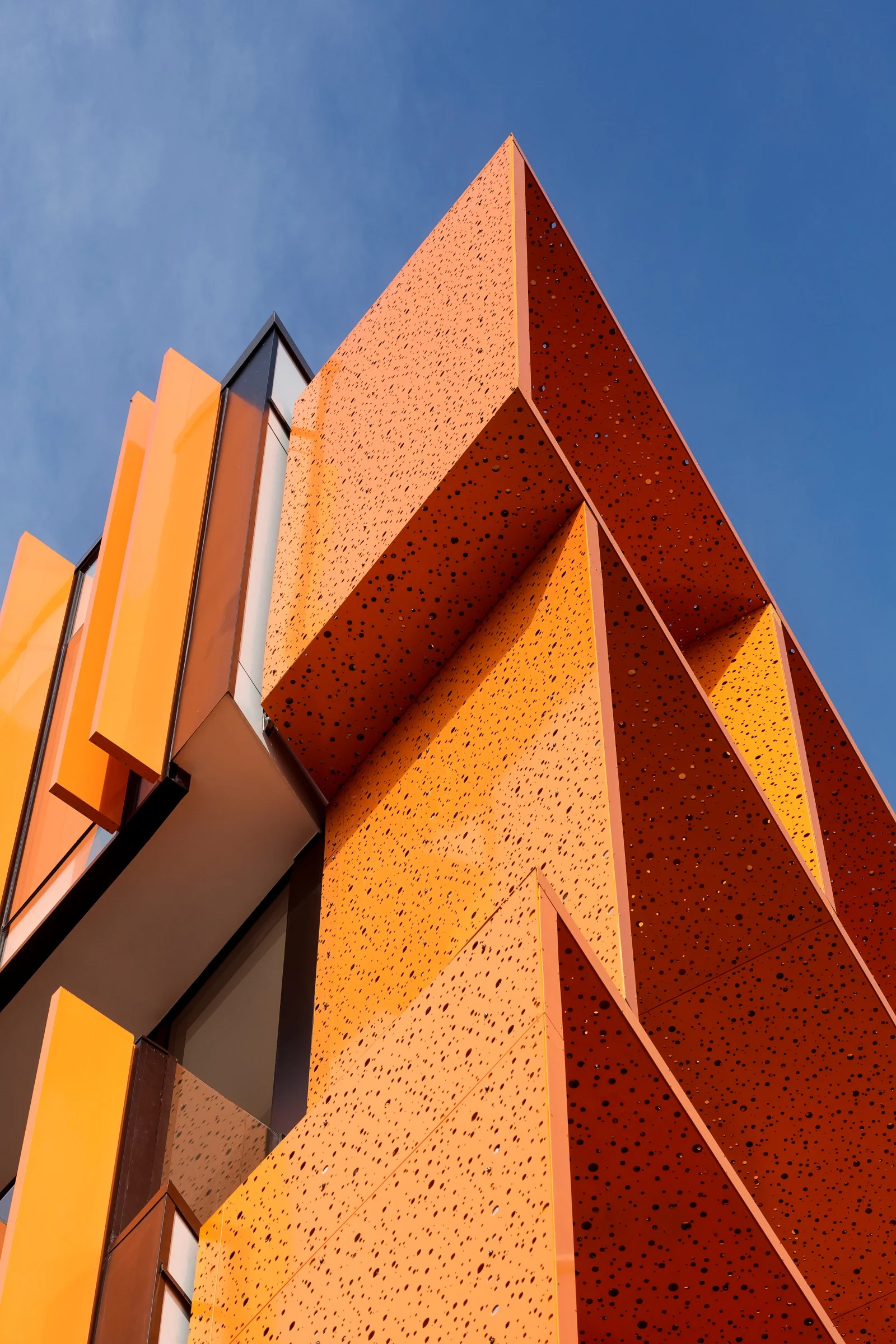 THE ORANGE_6693_web.jpg