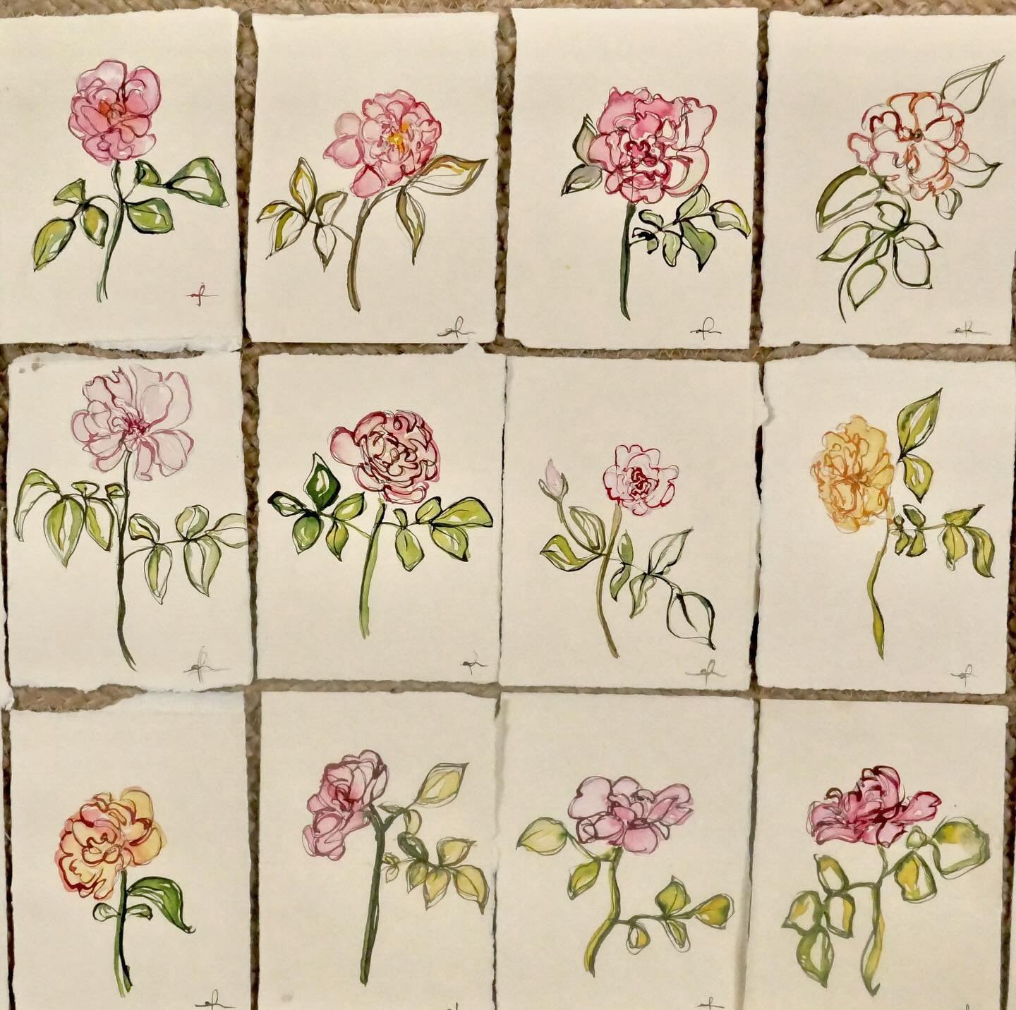 The Rose Mini&rsquo;s&hellip;inspired by the roses growing in my garden that I cannot get enough of! Dropping next Friday, 11 am CST on amyneill.com (link in bio) 

#amyneillart #roseart #roses
#springgarden #davidaustinroses #davidaustin #rosegarden