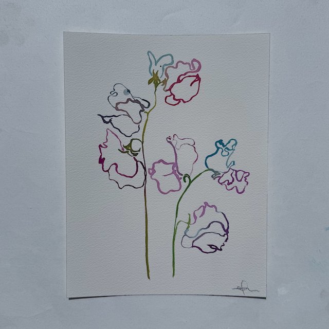 Sweet Pea 009