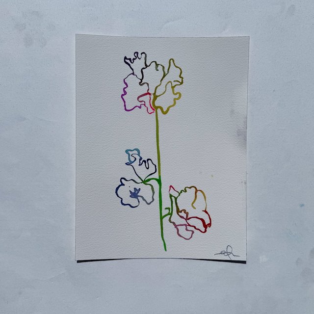Sweet Pea 006
