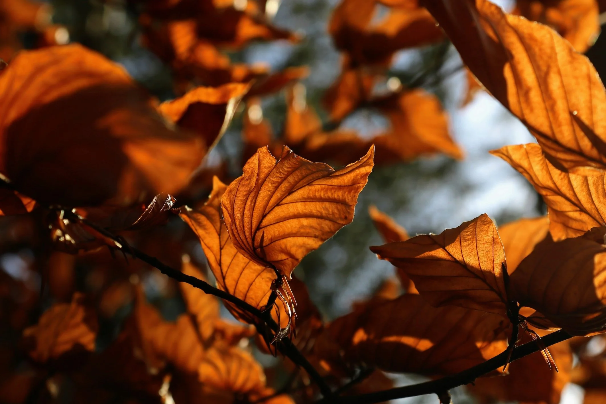 The Autumn Equinox Reset