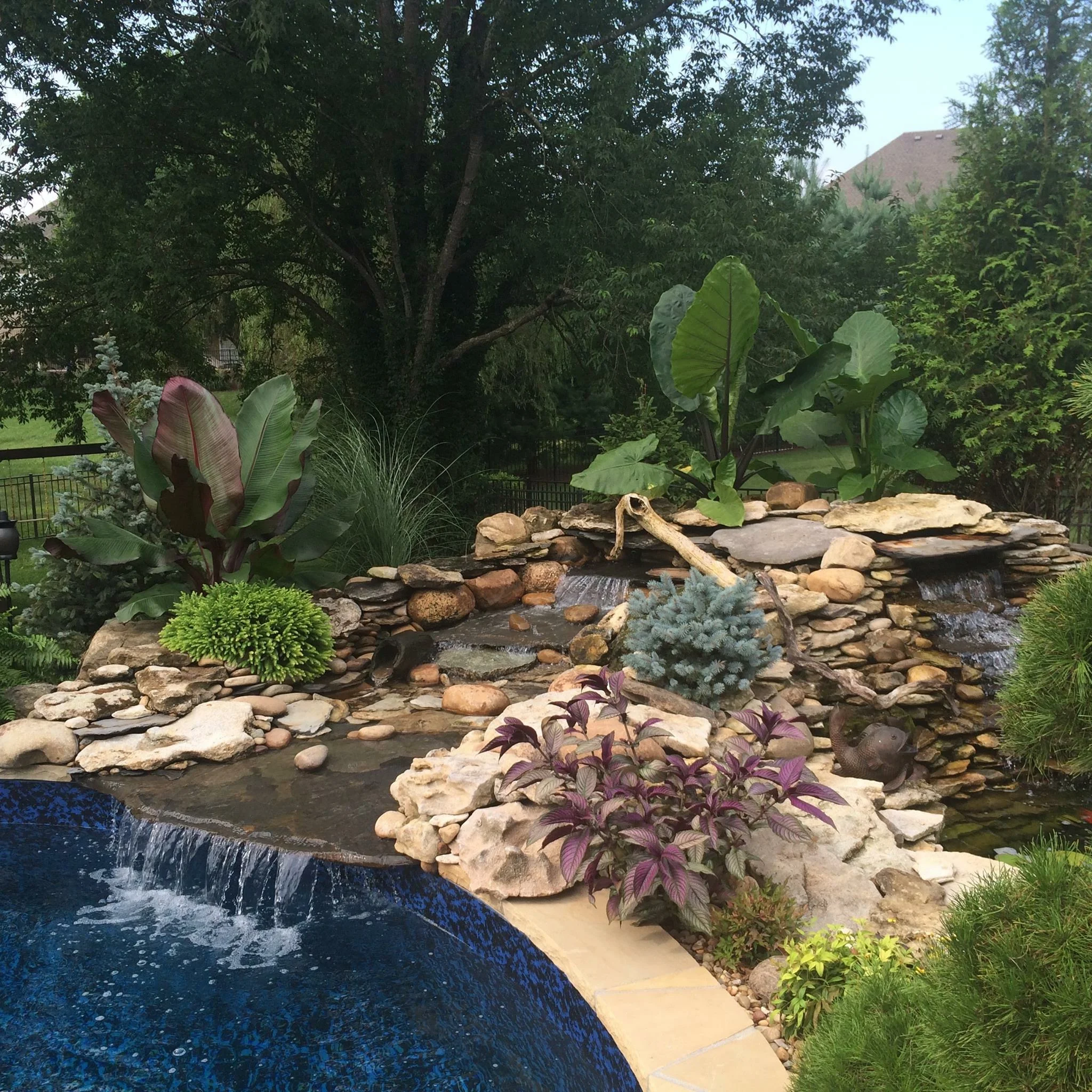Waterfalls_Pools.jpg