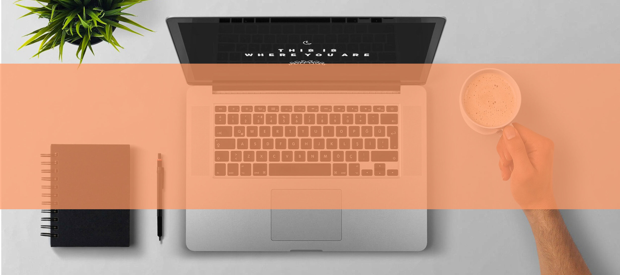 banner_siteweb.jpg