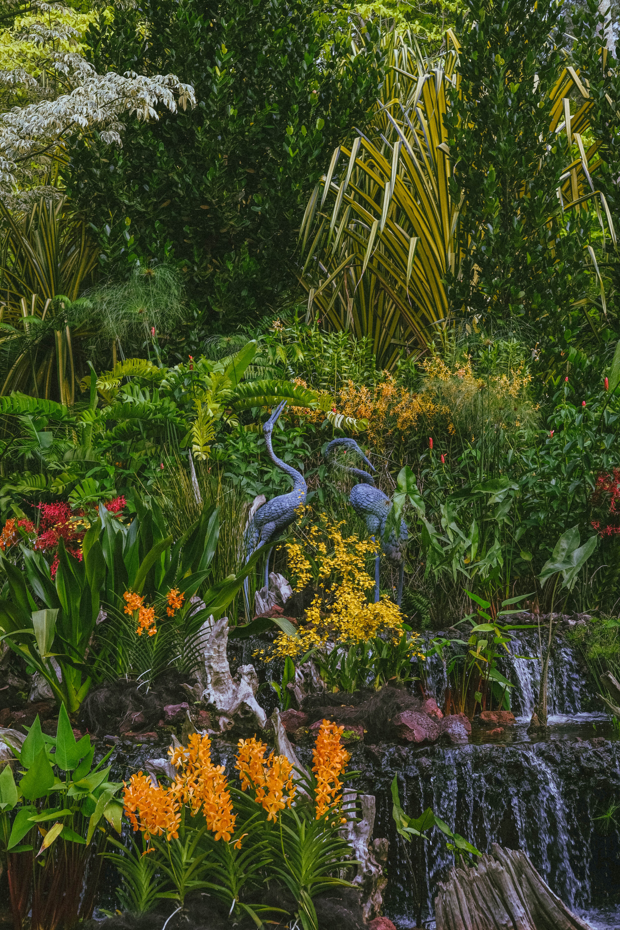 Singapore Botanic Gardens