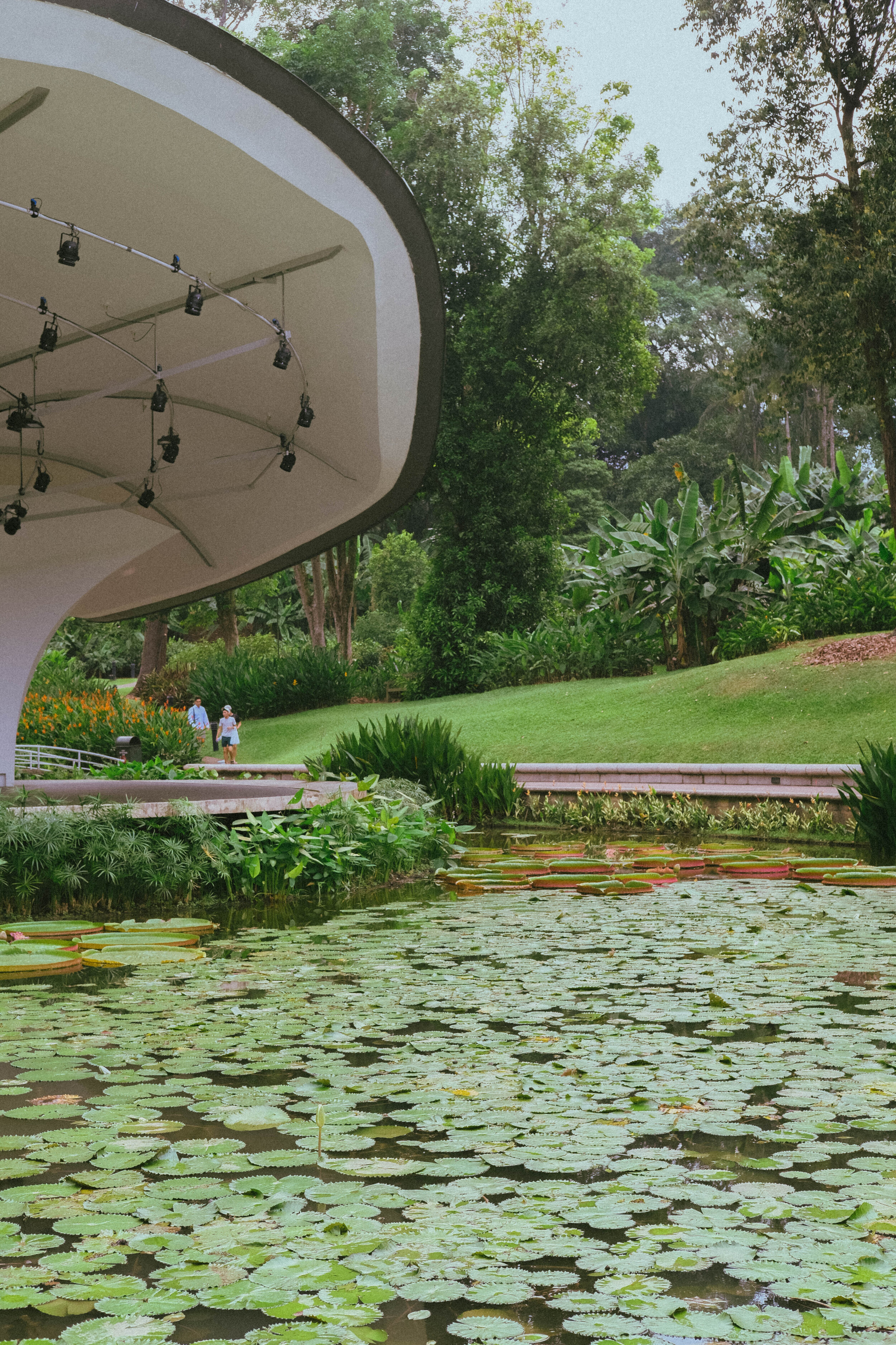 Singapore Botanic Gardens