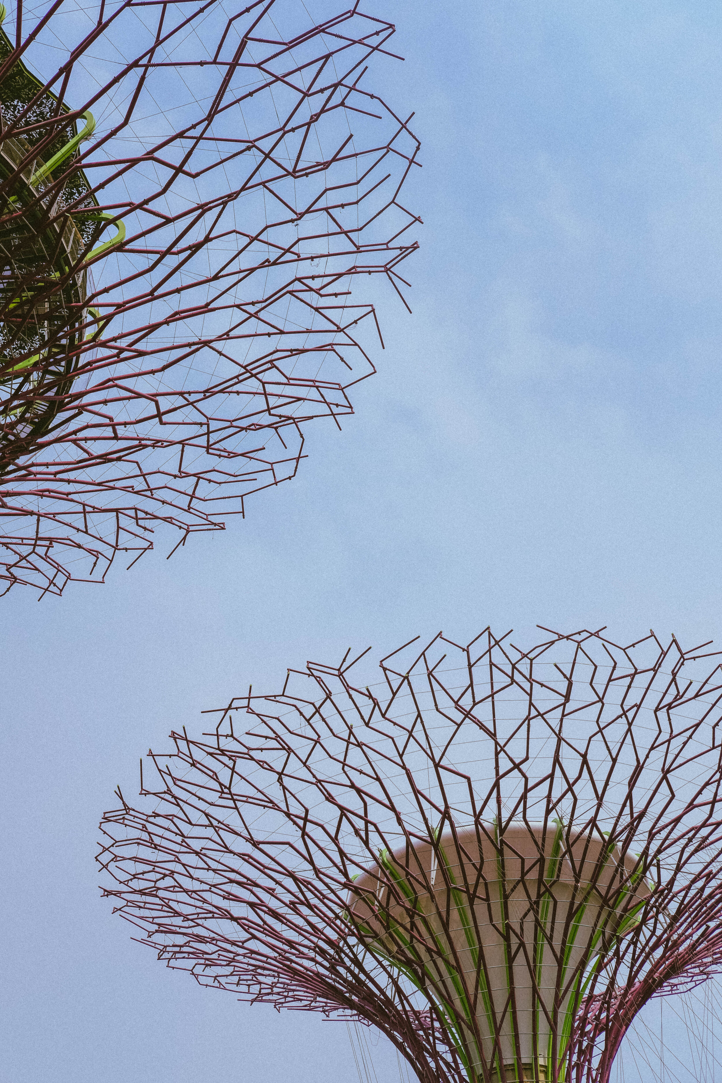 Gardens by the Bay