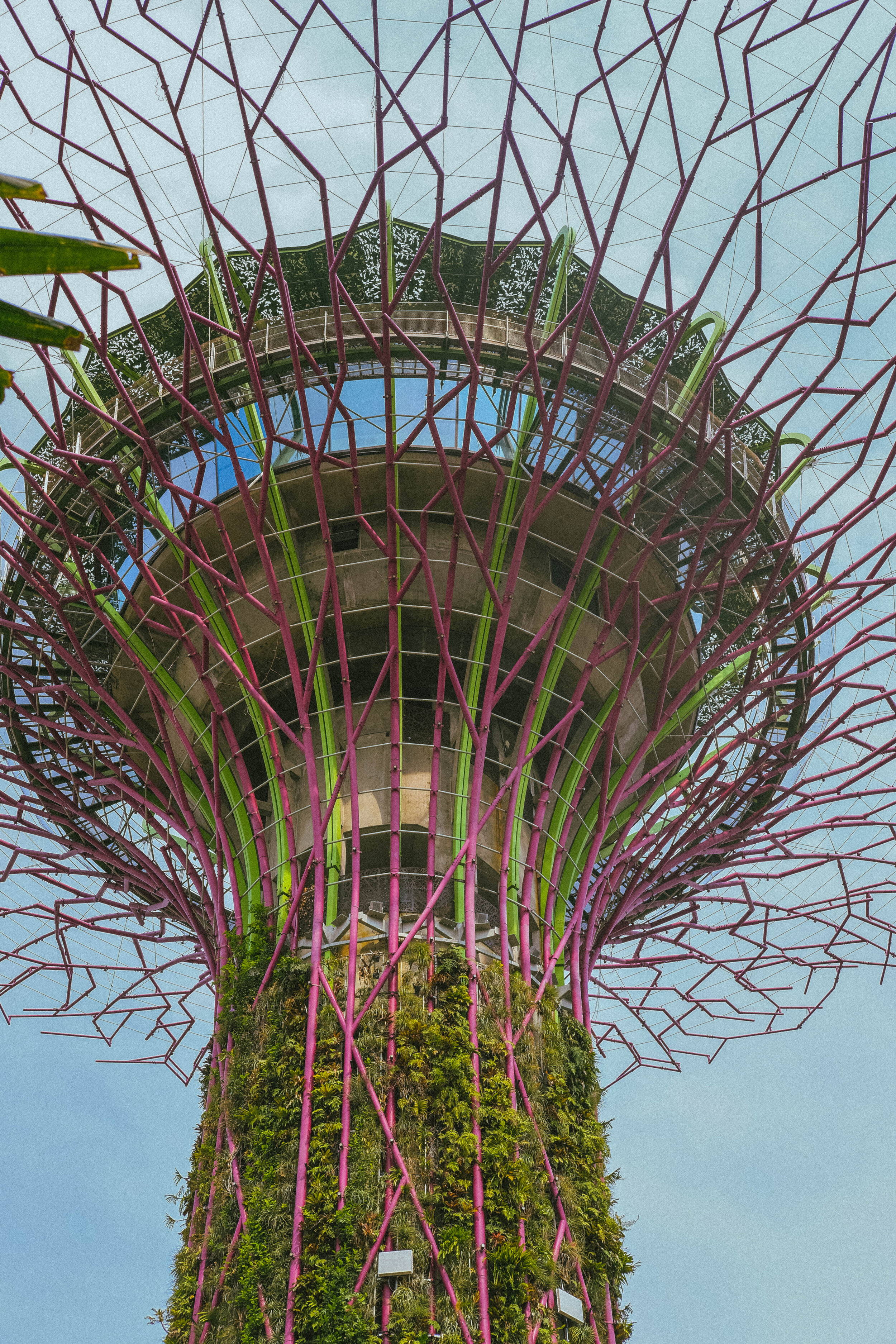 Gardens by the Bay
