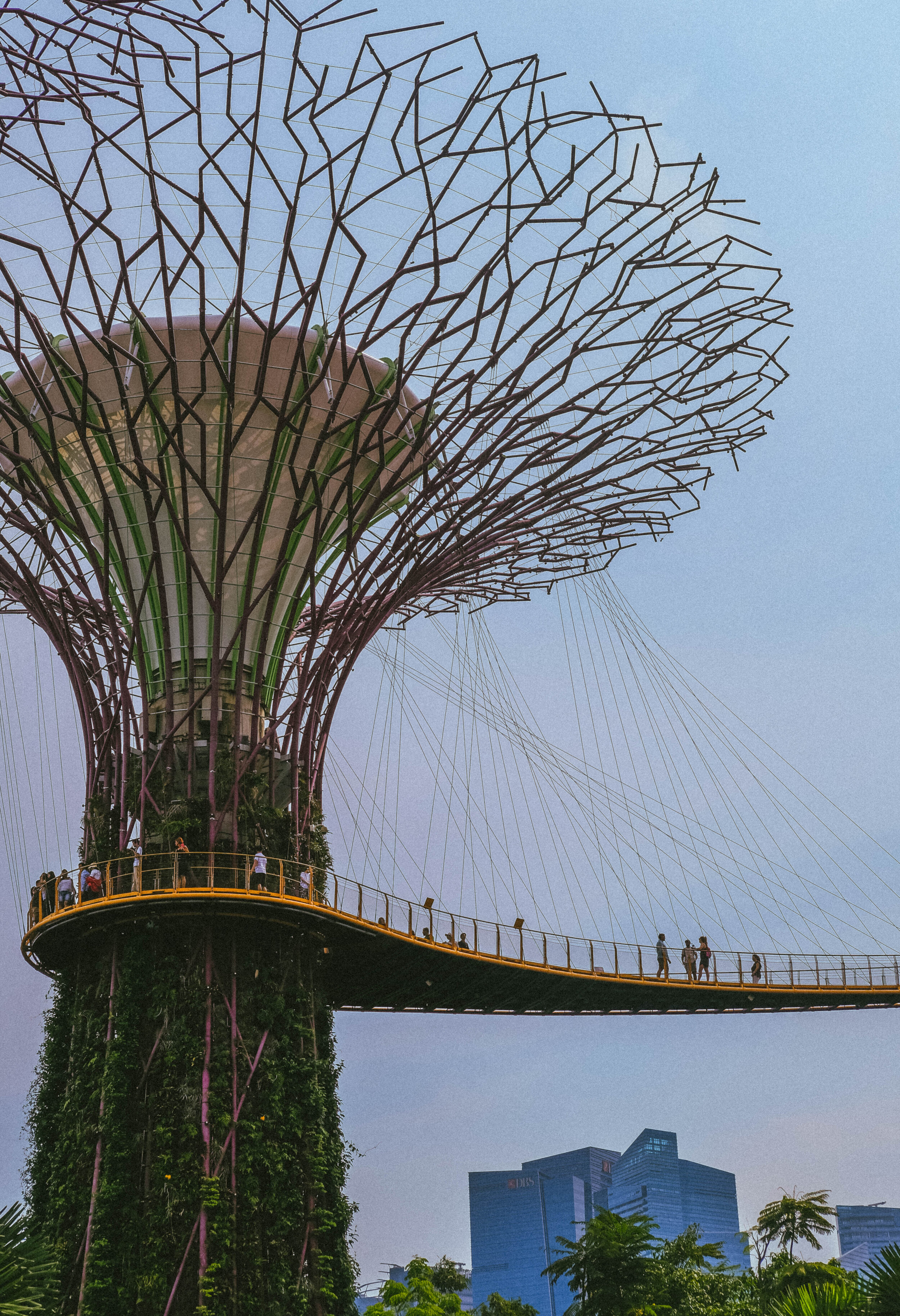 Gardens by the Bay