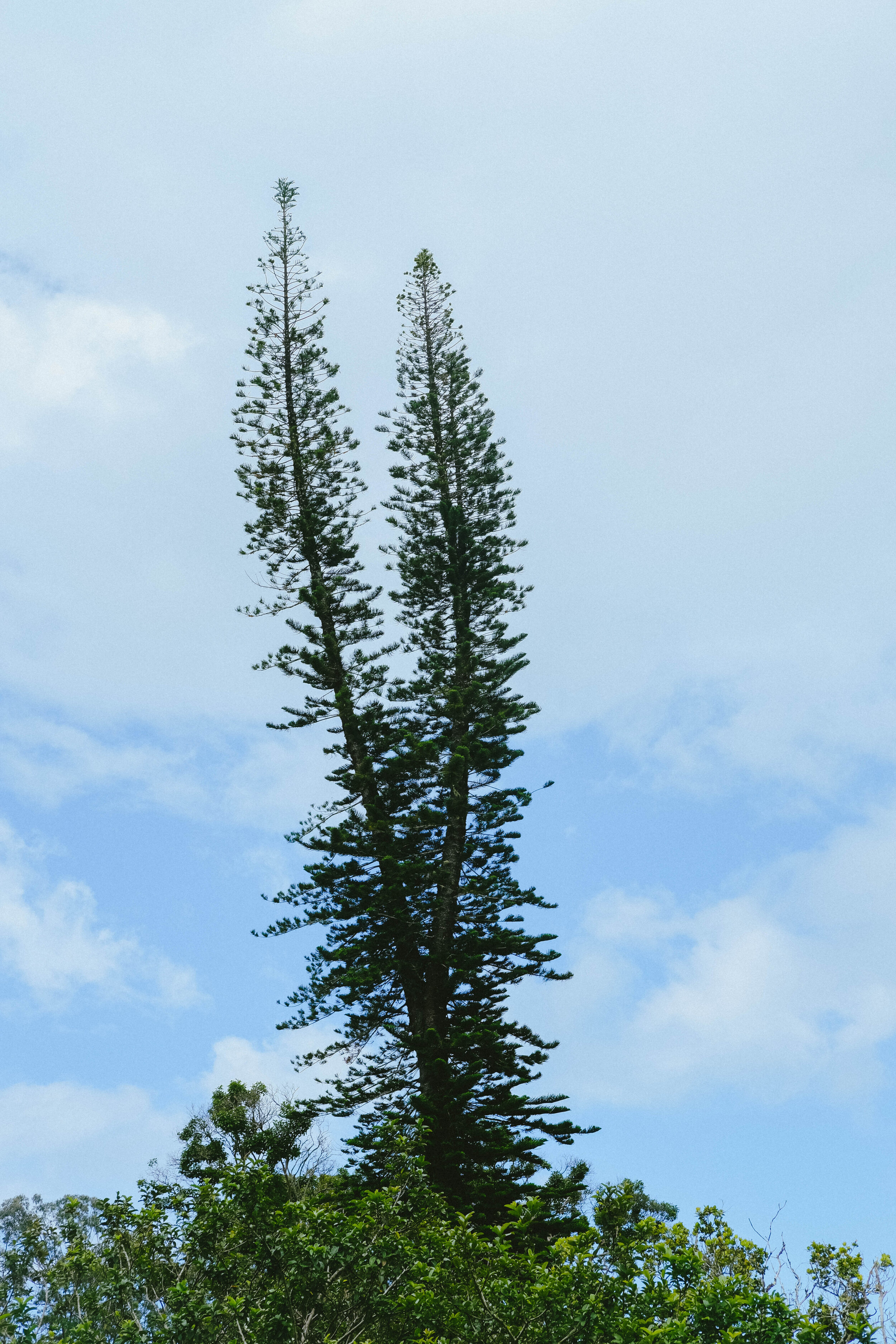 DSCF5633.jpg