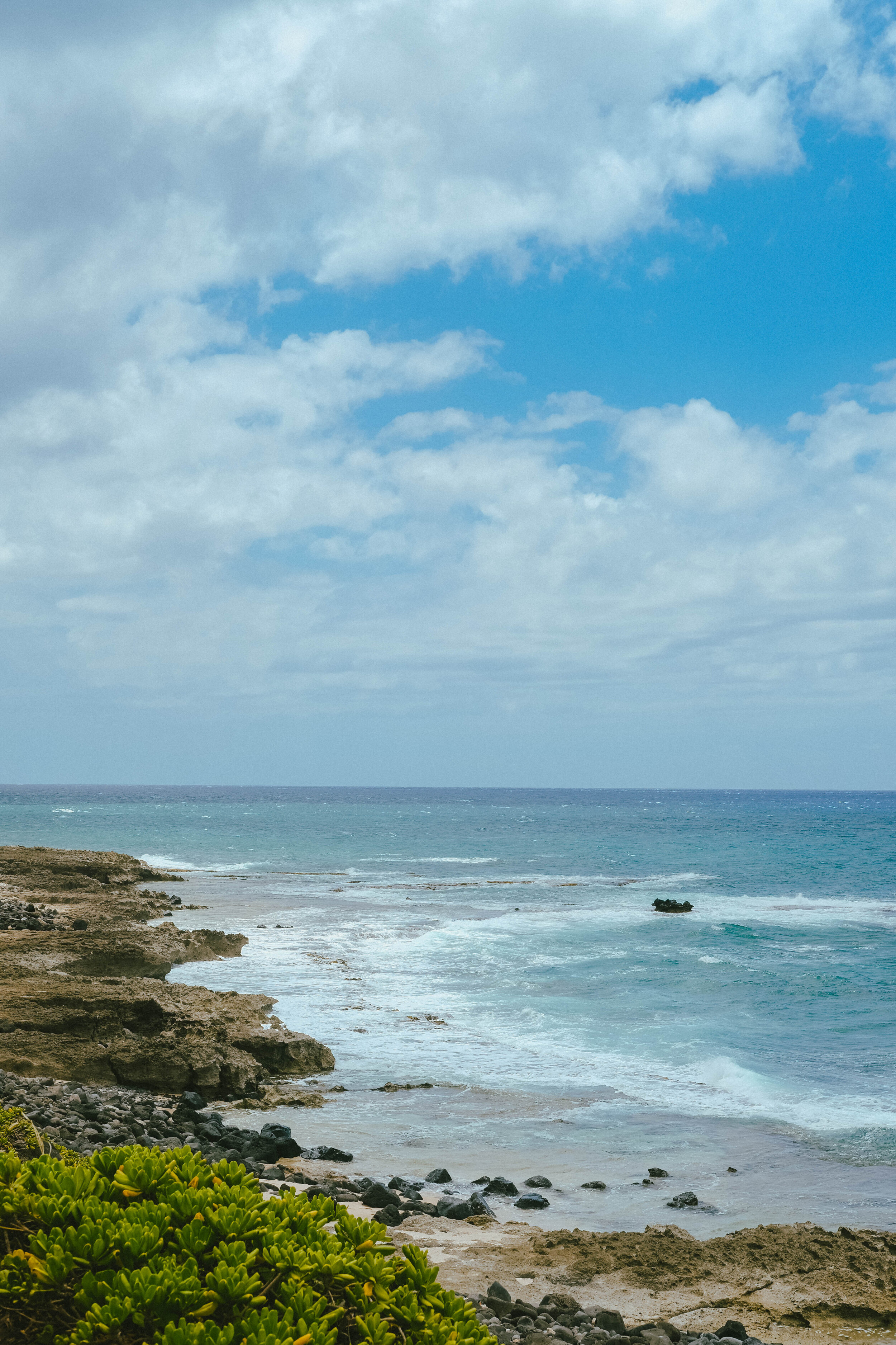 DSCF5463.jpg