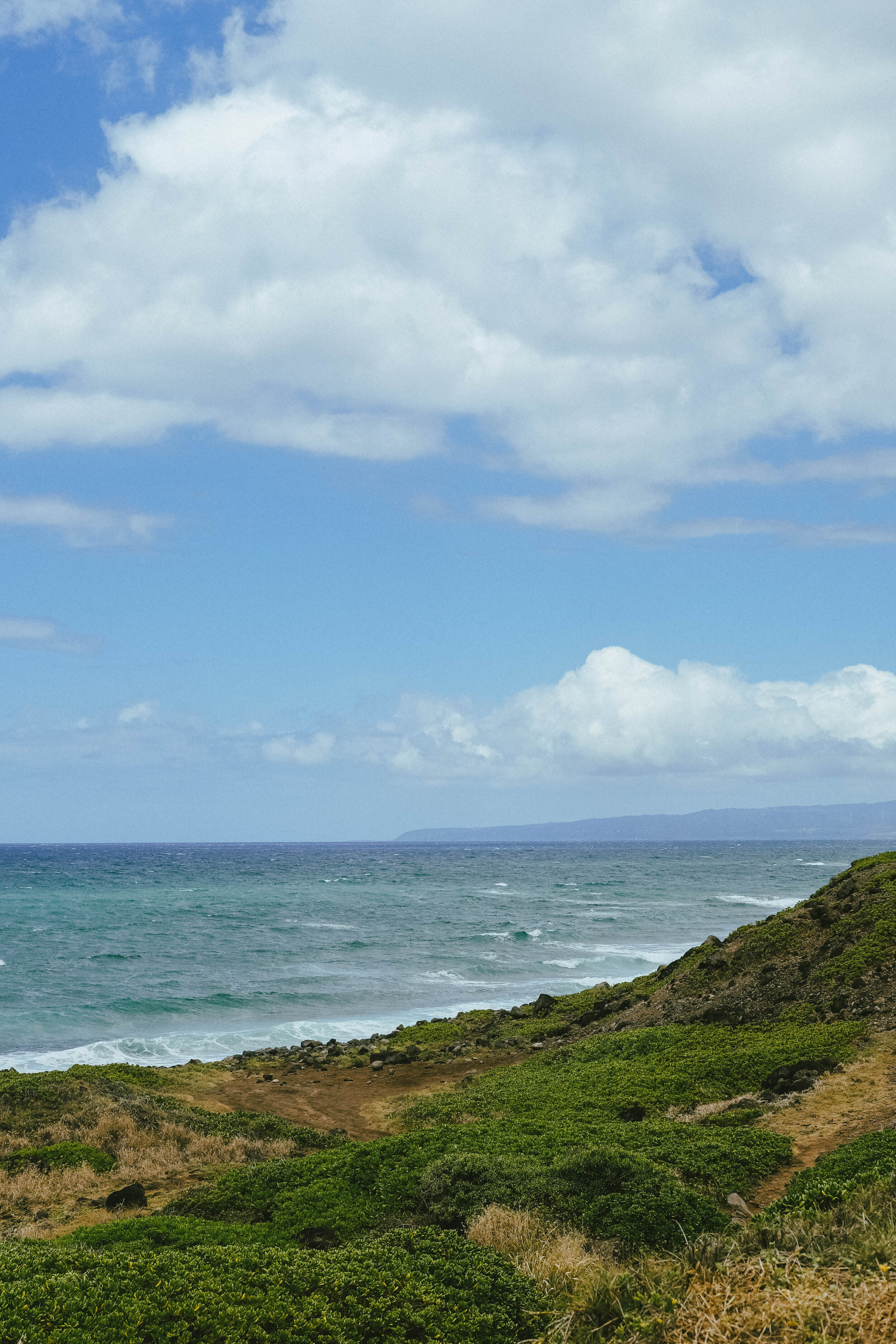 DSCF5452.jpg