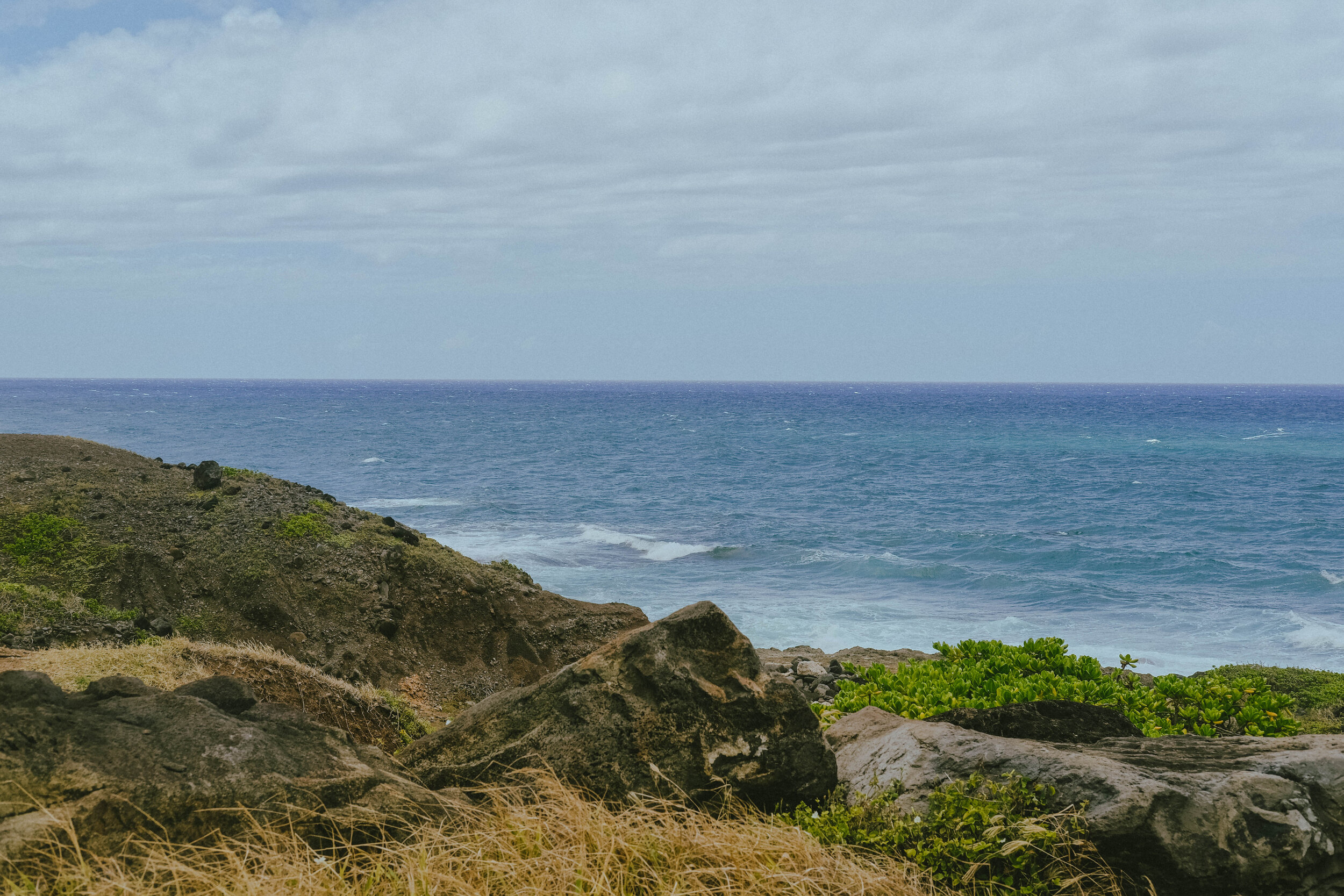 DSCF5435.jpg