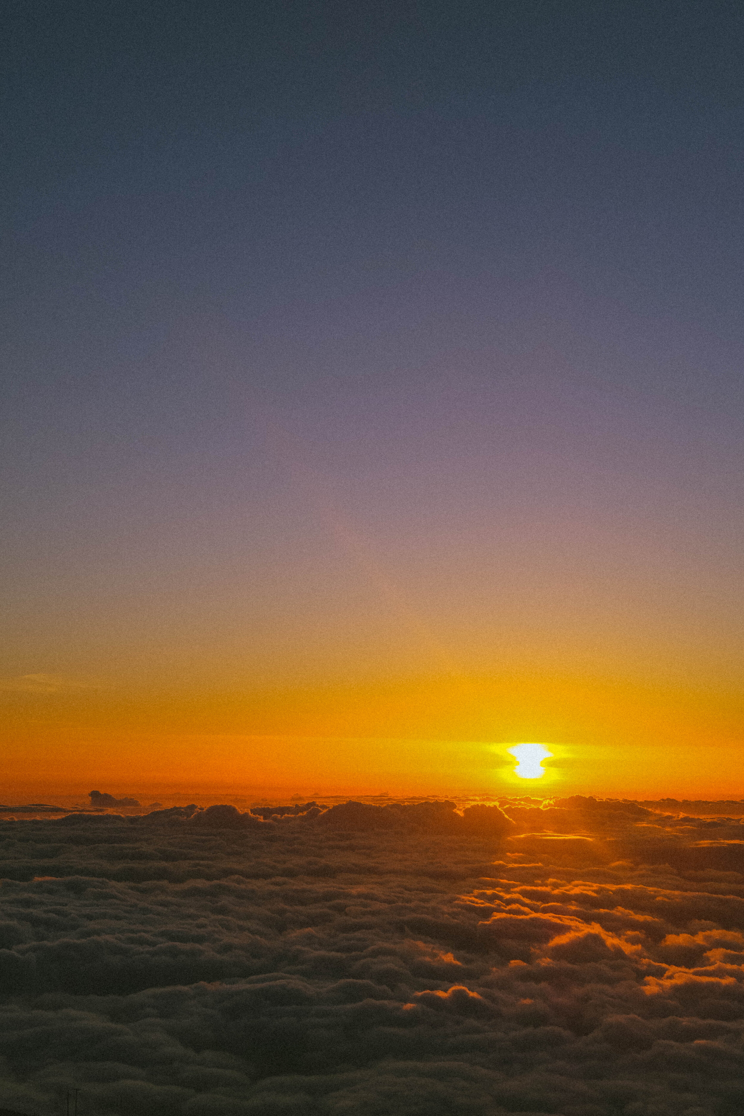 DSCF5584.jpg