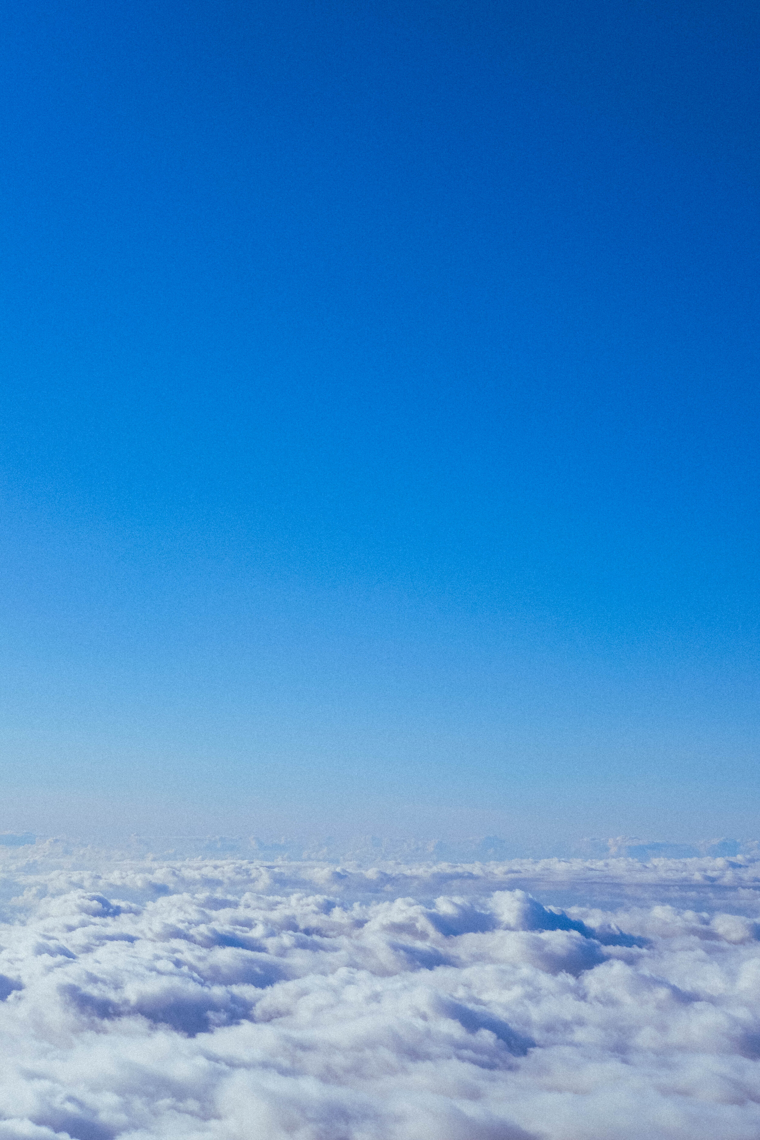 DSCF5572.jpg
