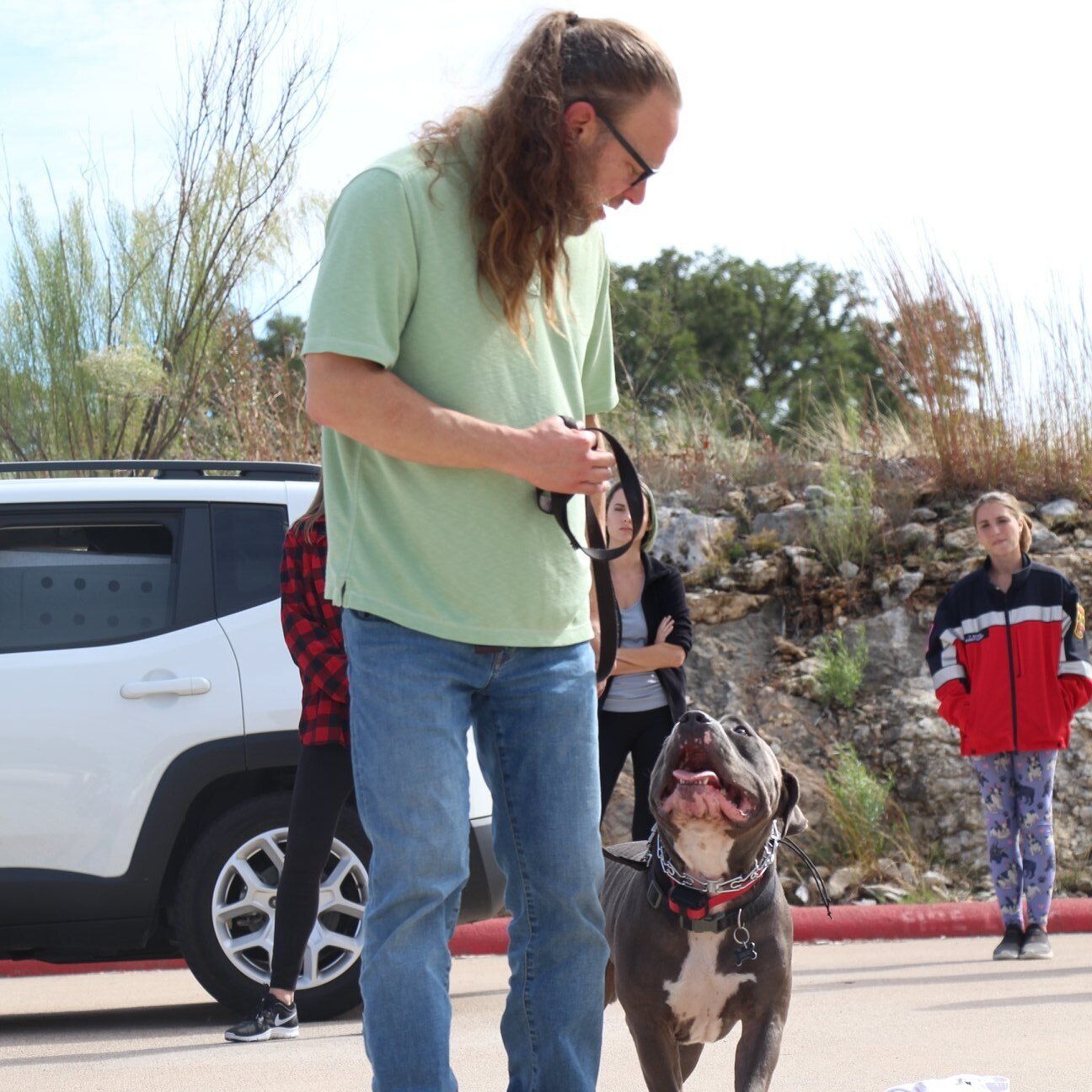 solid k9 training jeff gellman