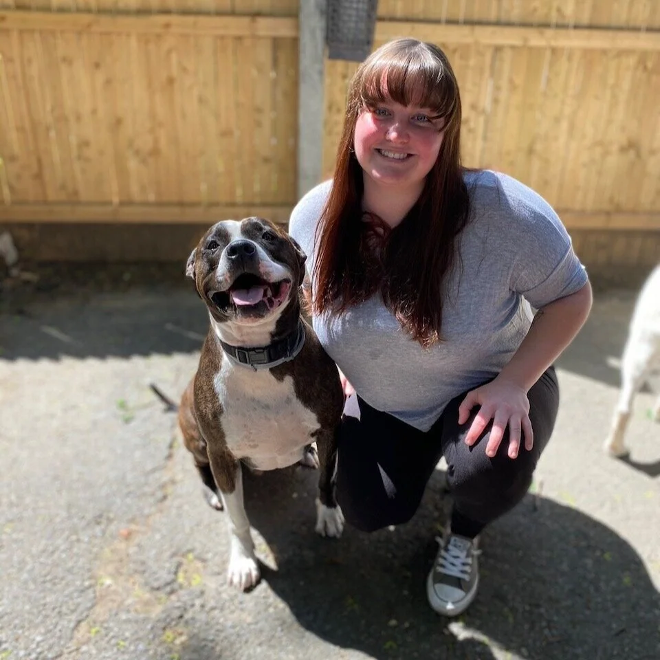 About — Rhode Island Dog Training Solid K9 Training