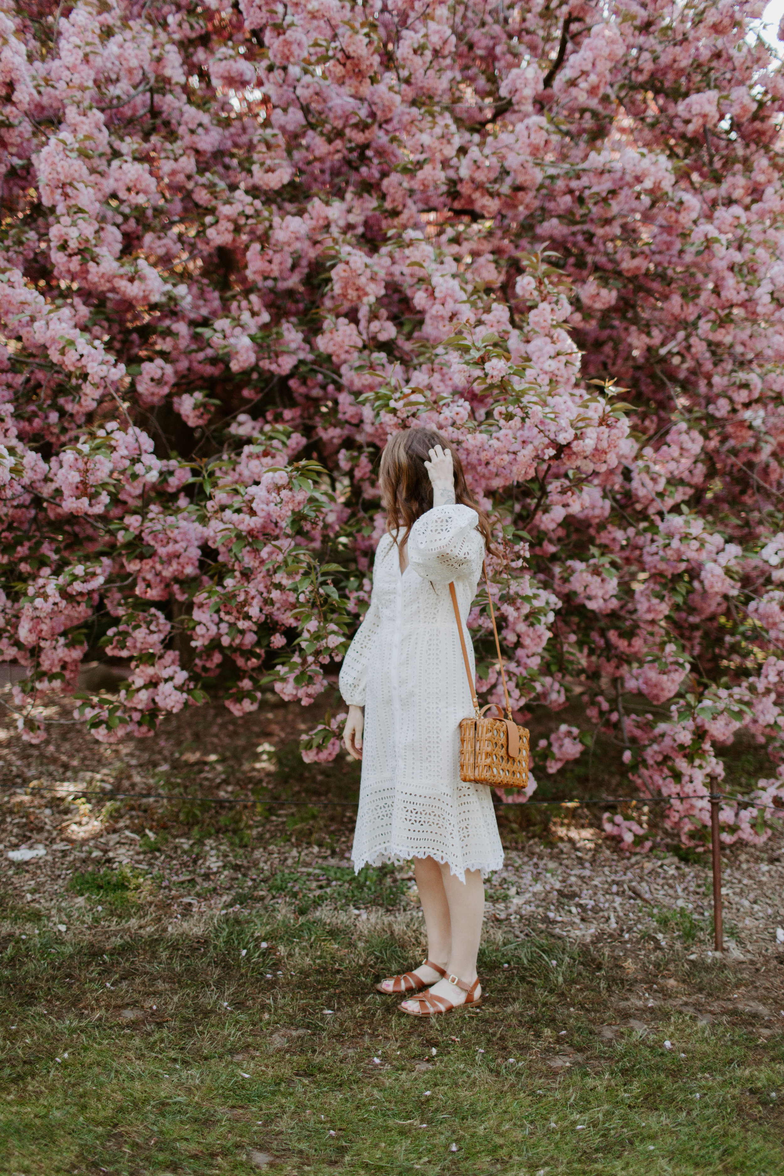 The_Teagues_Brooklyn_Botanic_Garden17.jpg
