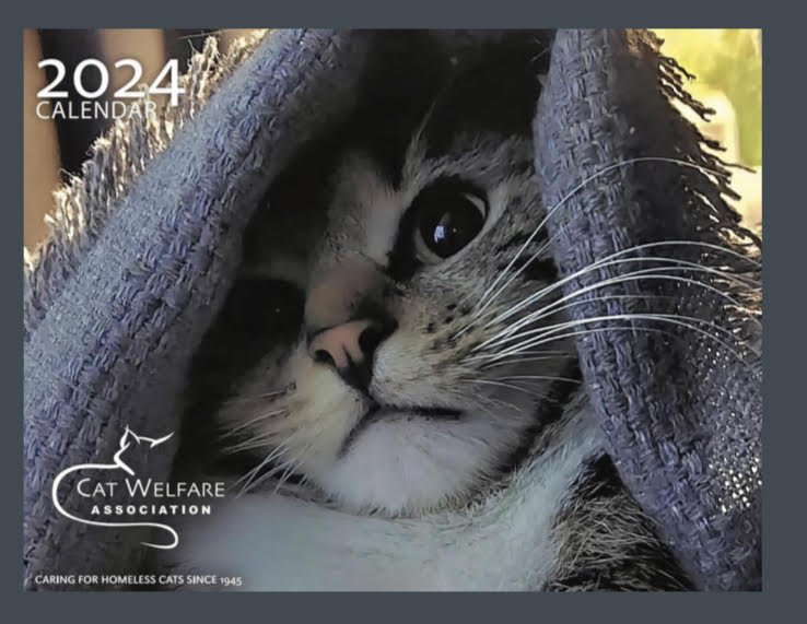 2024 MRFRS Cat Calendar - SOLD OUT! - MRFRS