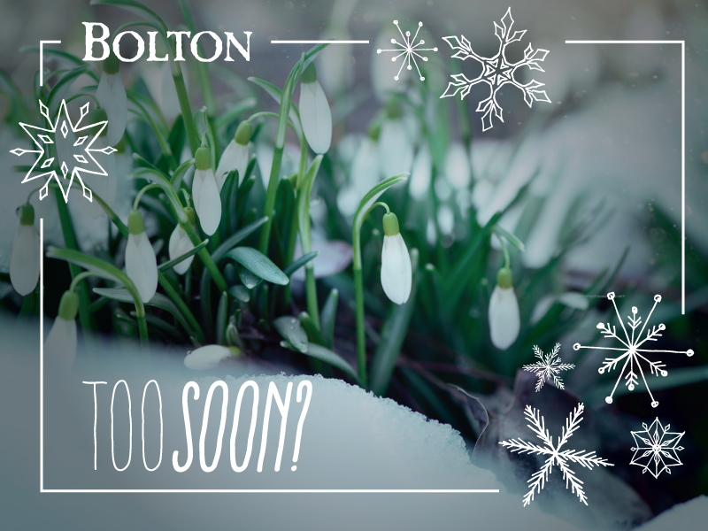 Spring Has Sprung Too Soon