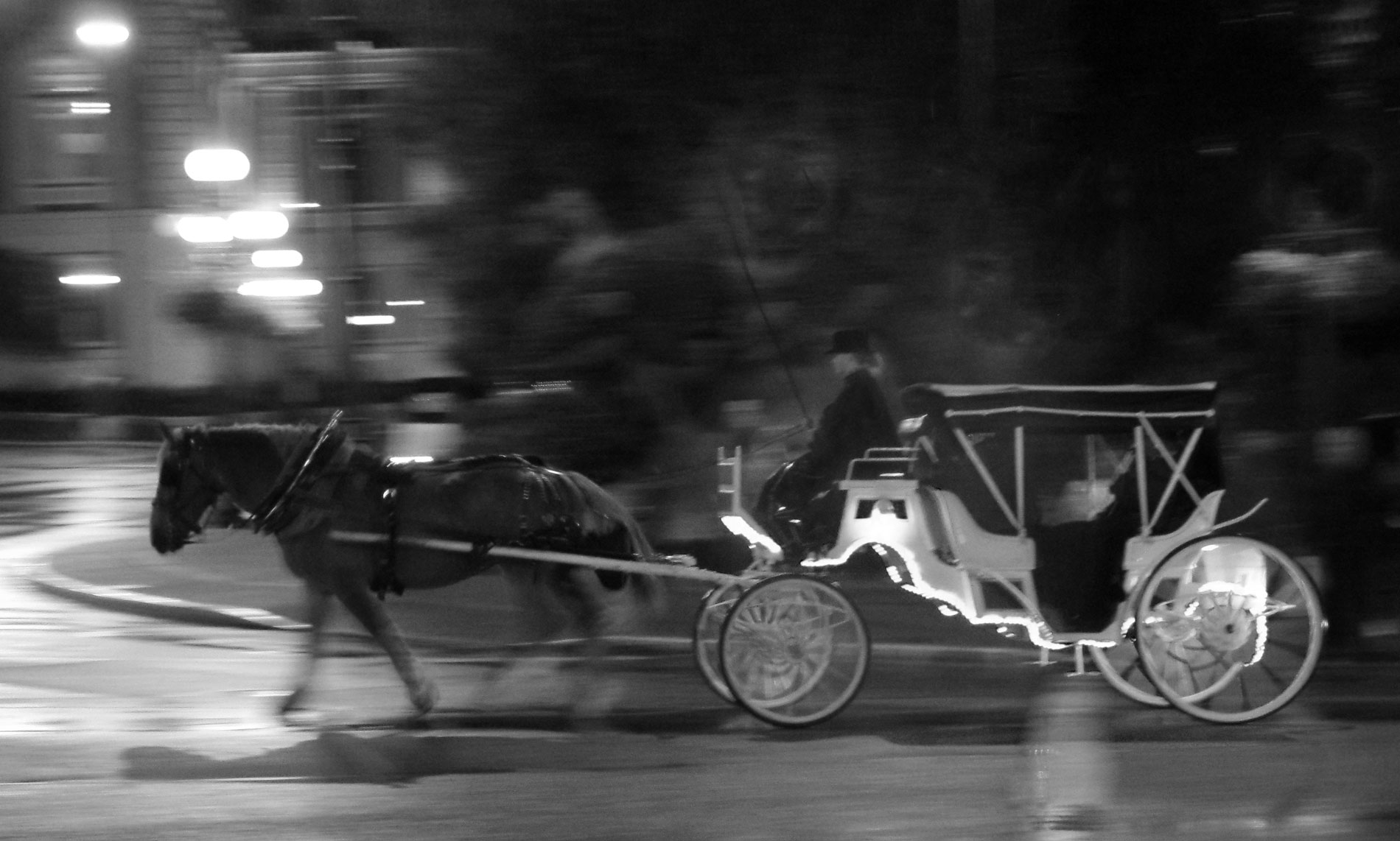 Carriage ©2018 Adam Graser Photography