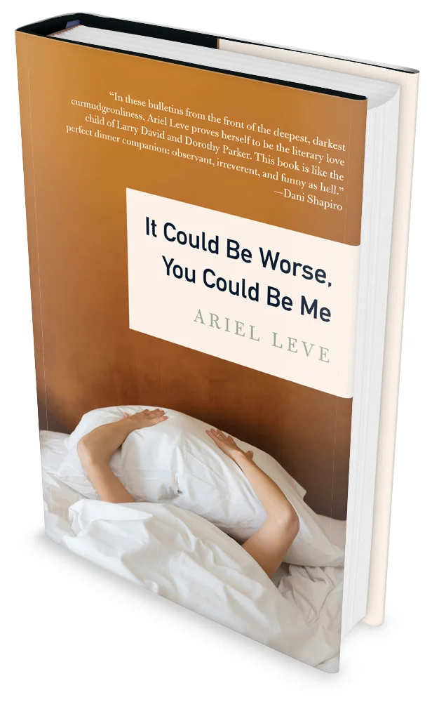 Leve-Could-Be-Worse-3d.jpg