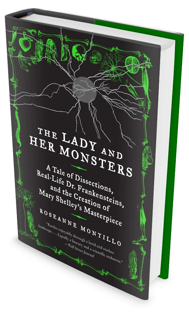 Montillo-monsters-3d.jpg