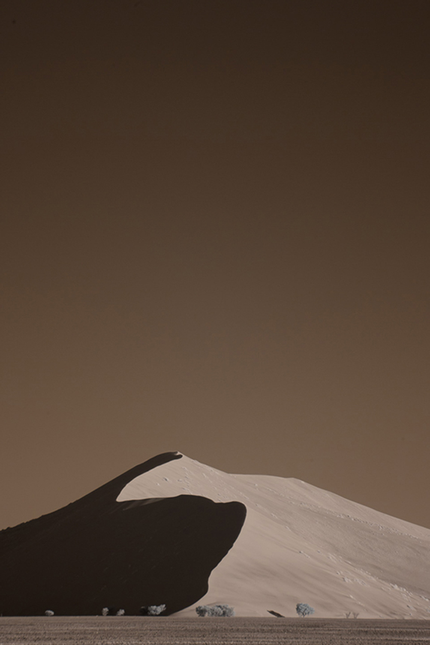 TGold_The Silent Dune.jpg