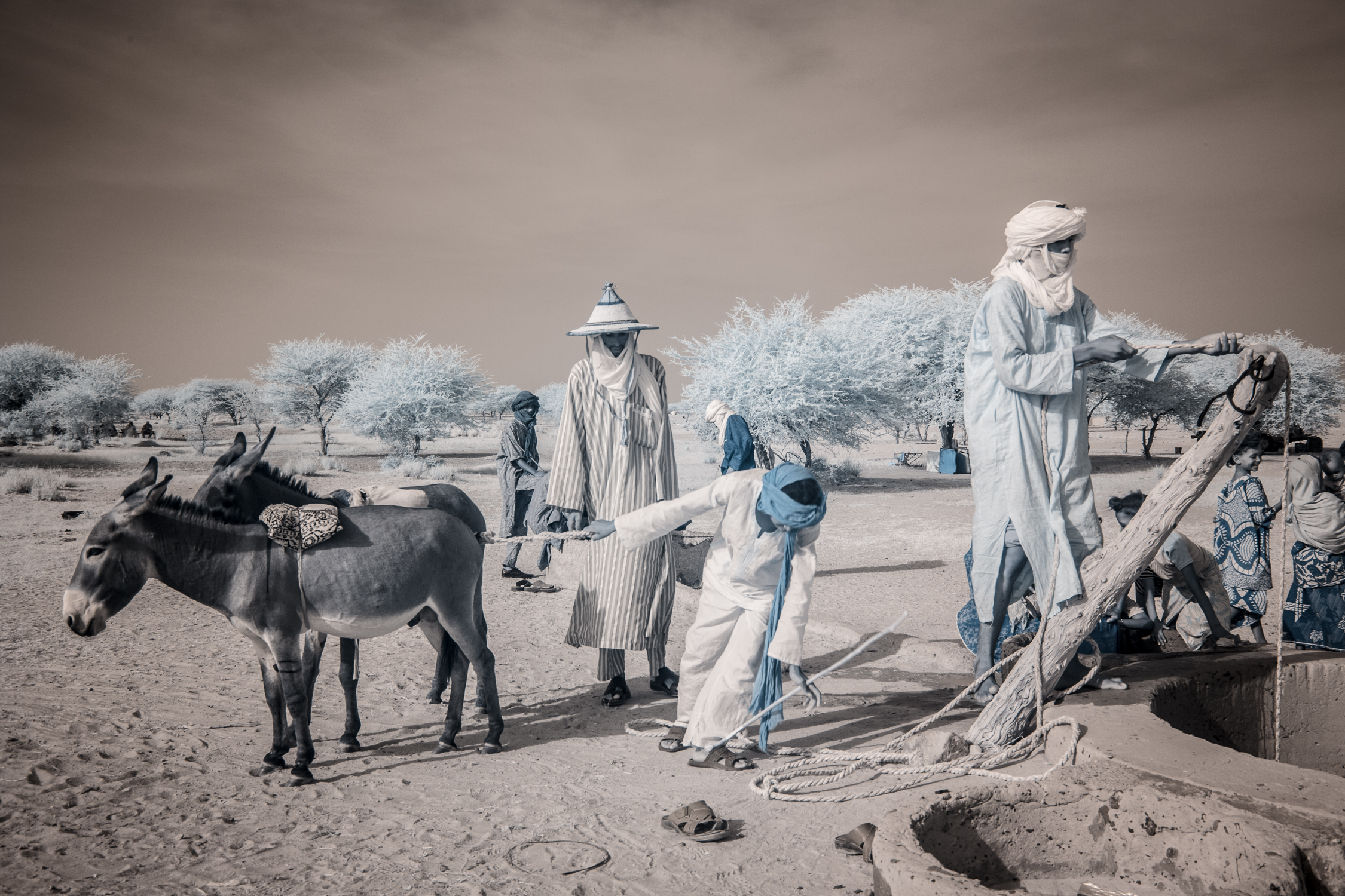  The Wodaabe and Tuareg people often spend months apart, searching out pastures for their beloved animal herds, and staying true to their traditions. 