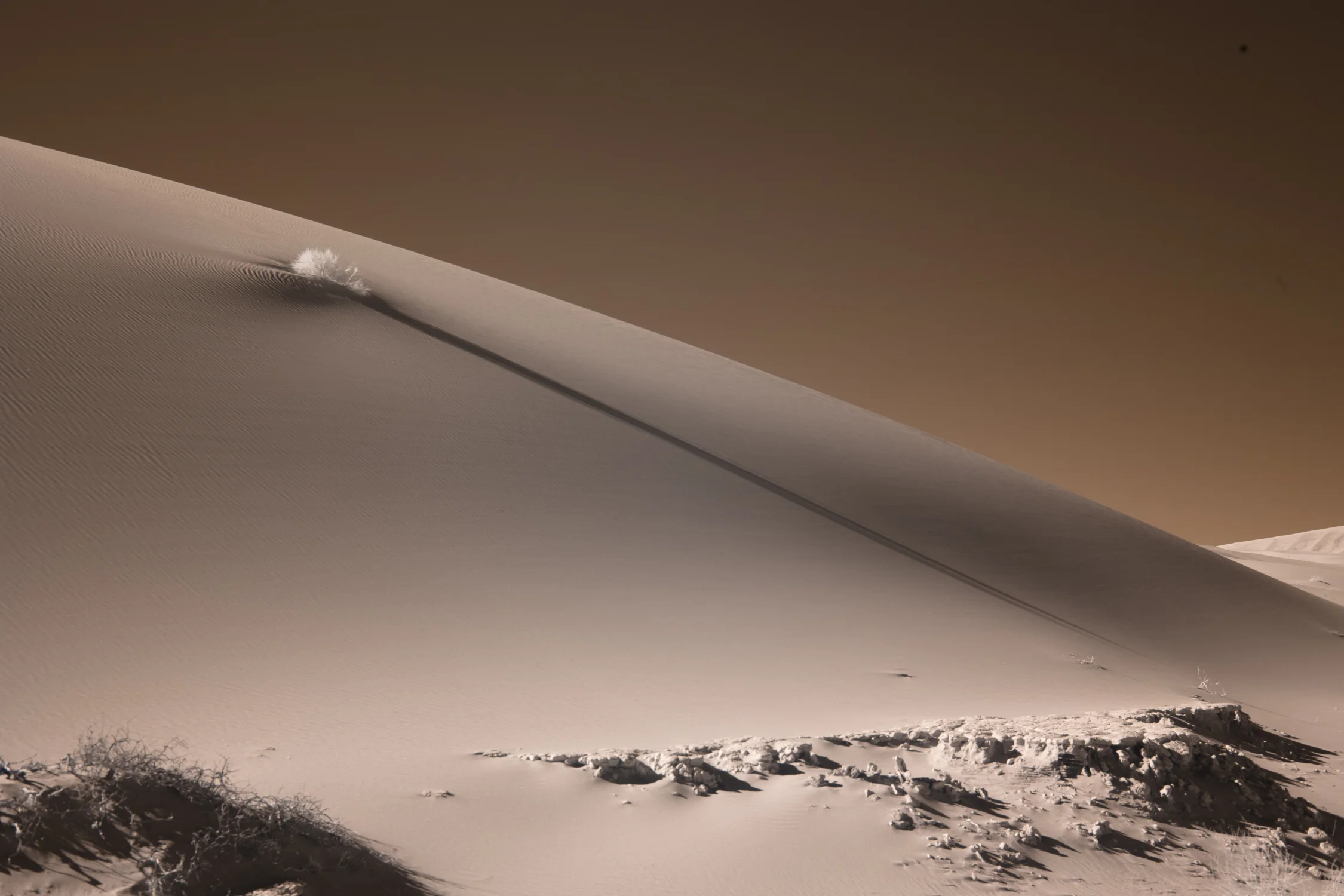 The sand dunes of Sossusvlei.
