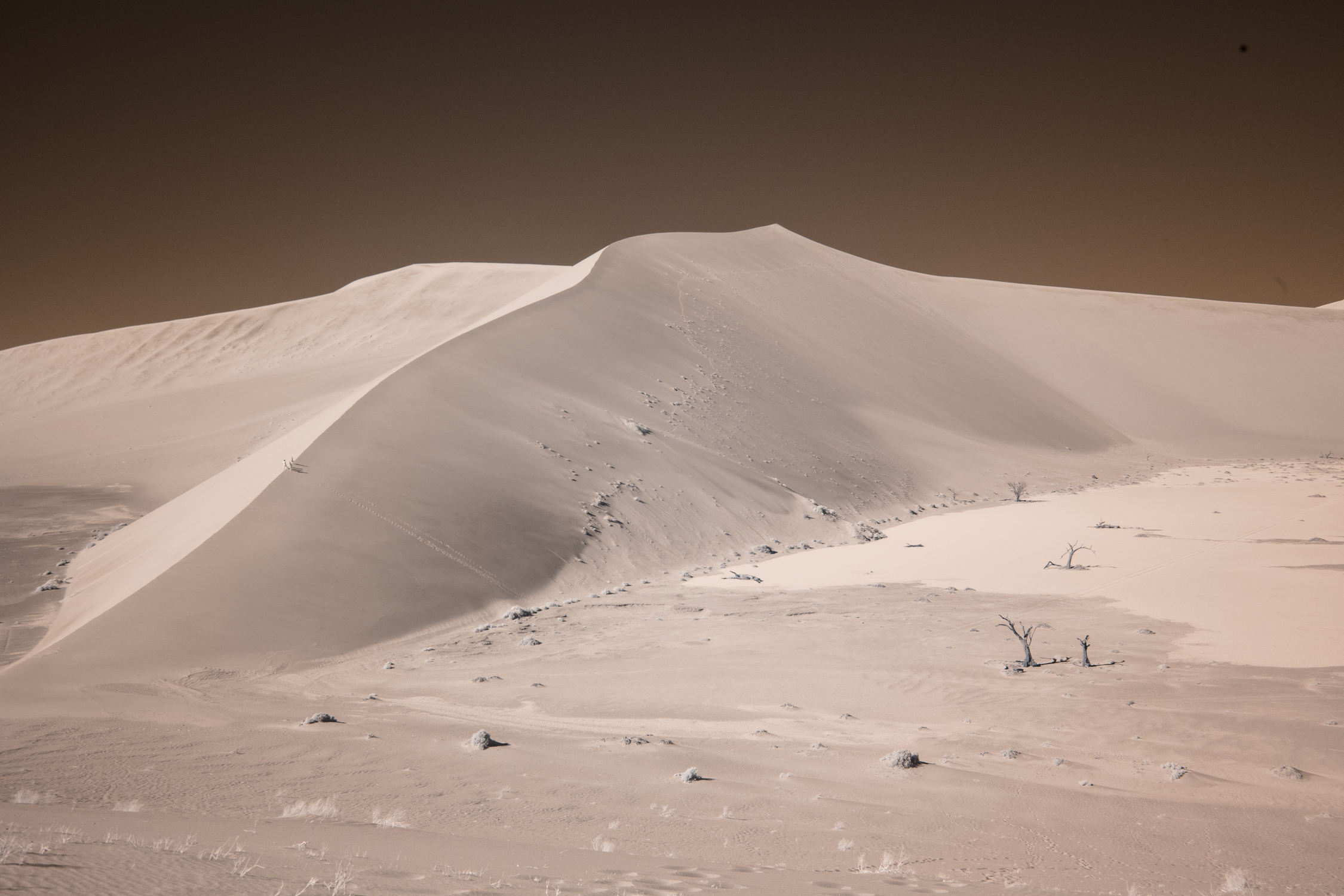 The winds blow across the land from east and west, forcing the sand upward like ocean waves, and mysterious shadows form. 