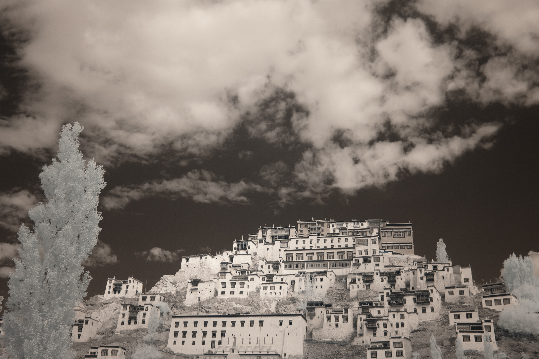 Thiksey Monastery.