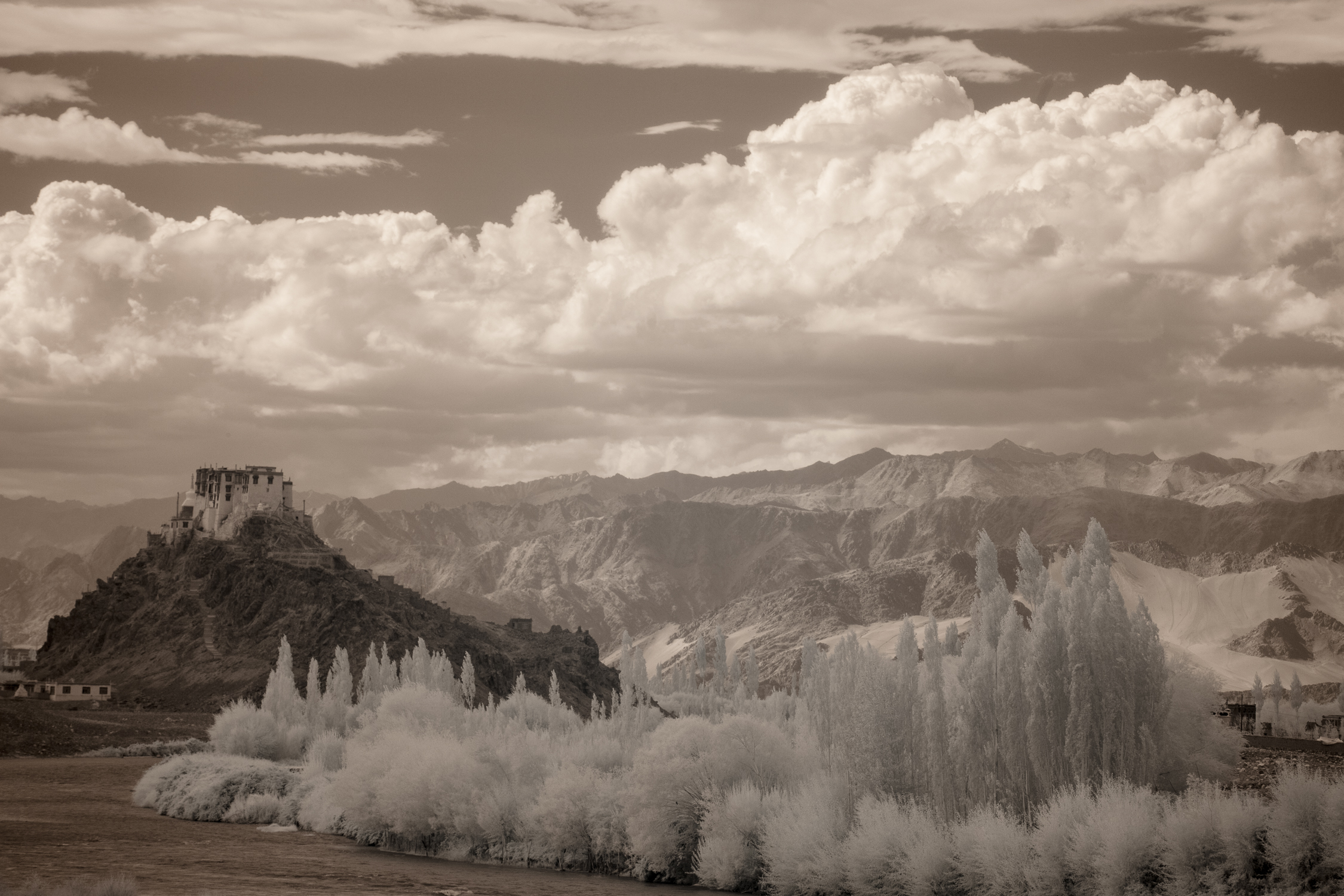 Spituk Monastery.