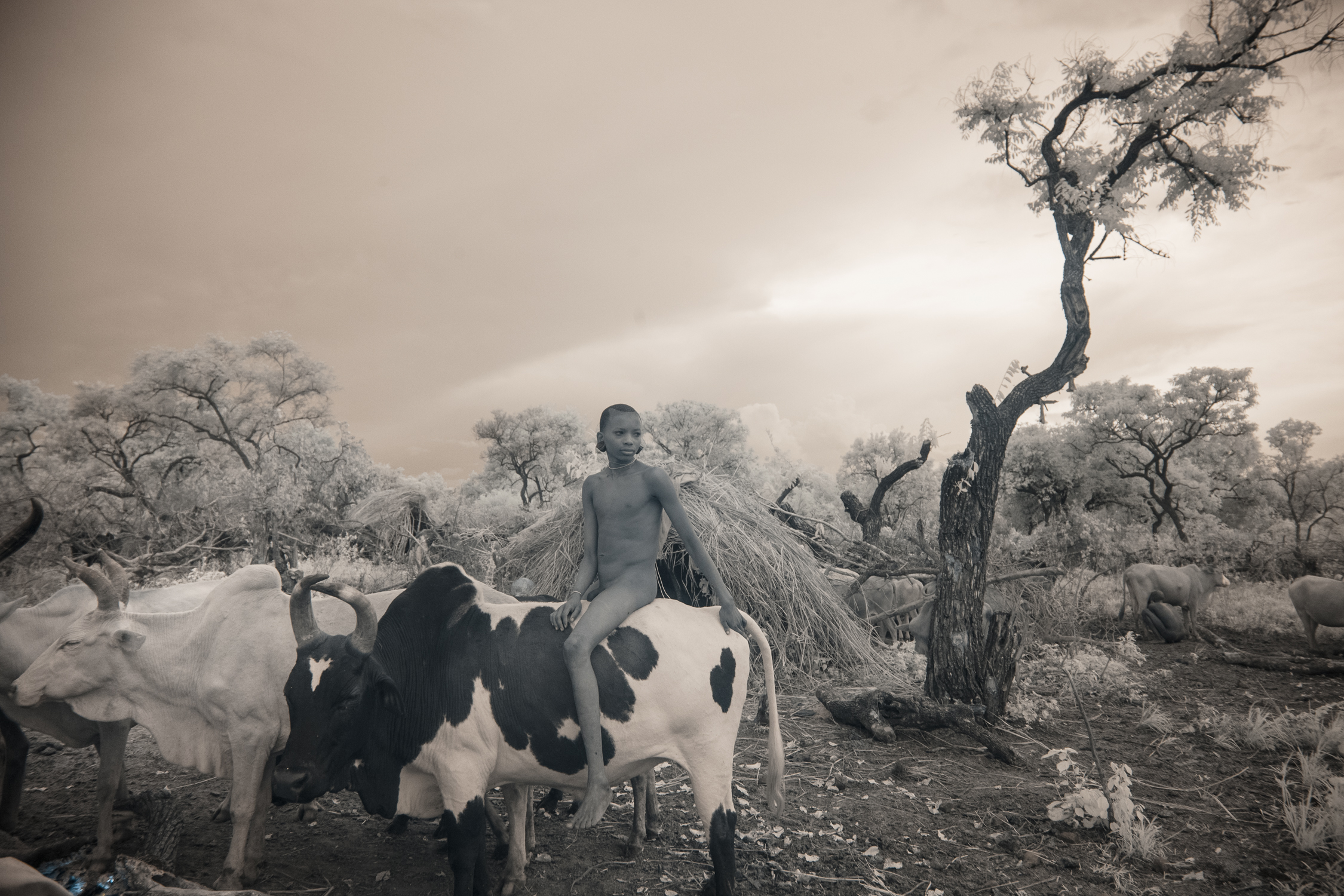 A Suri boy in the cattle camp. 